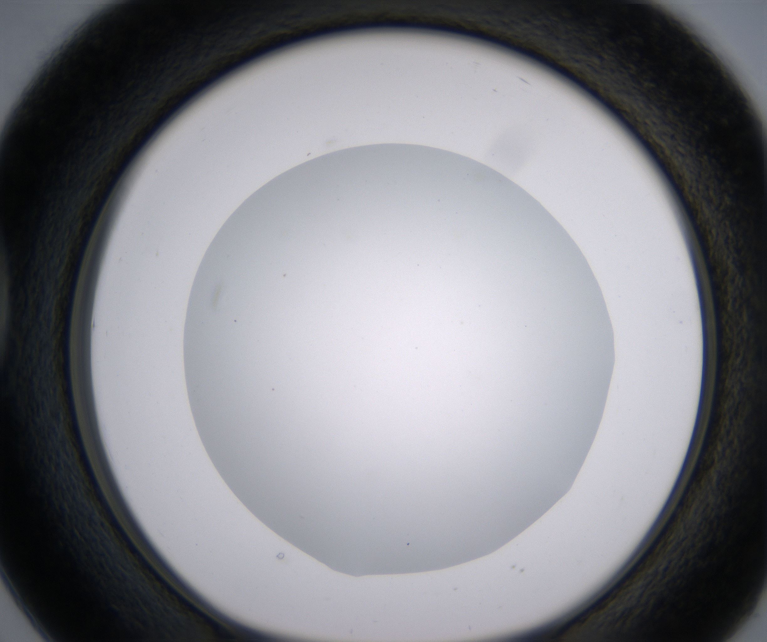 D2_HighResolution_Clear_1.jpg
