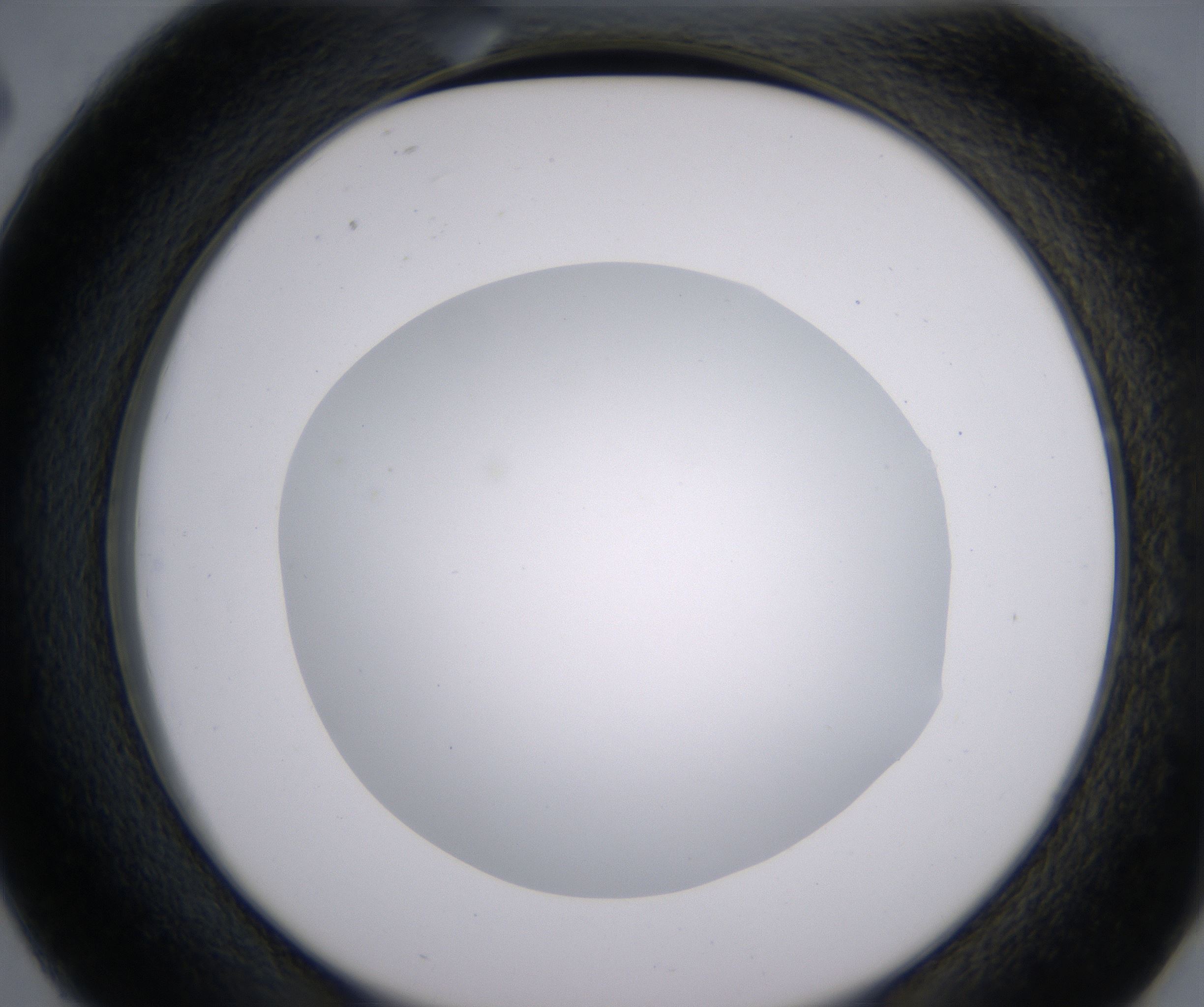 D2_HighResolution_Clear_2.jpg