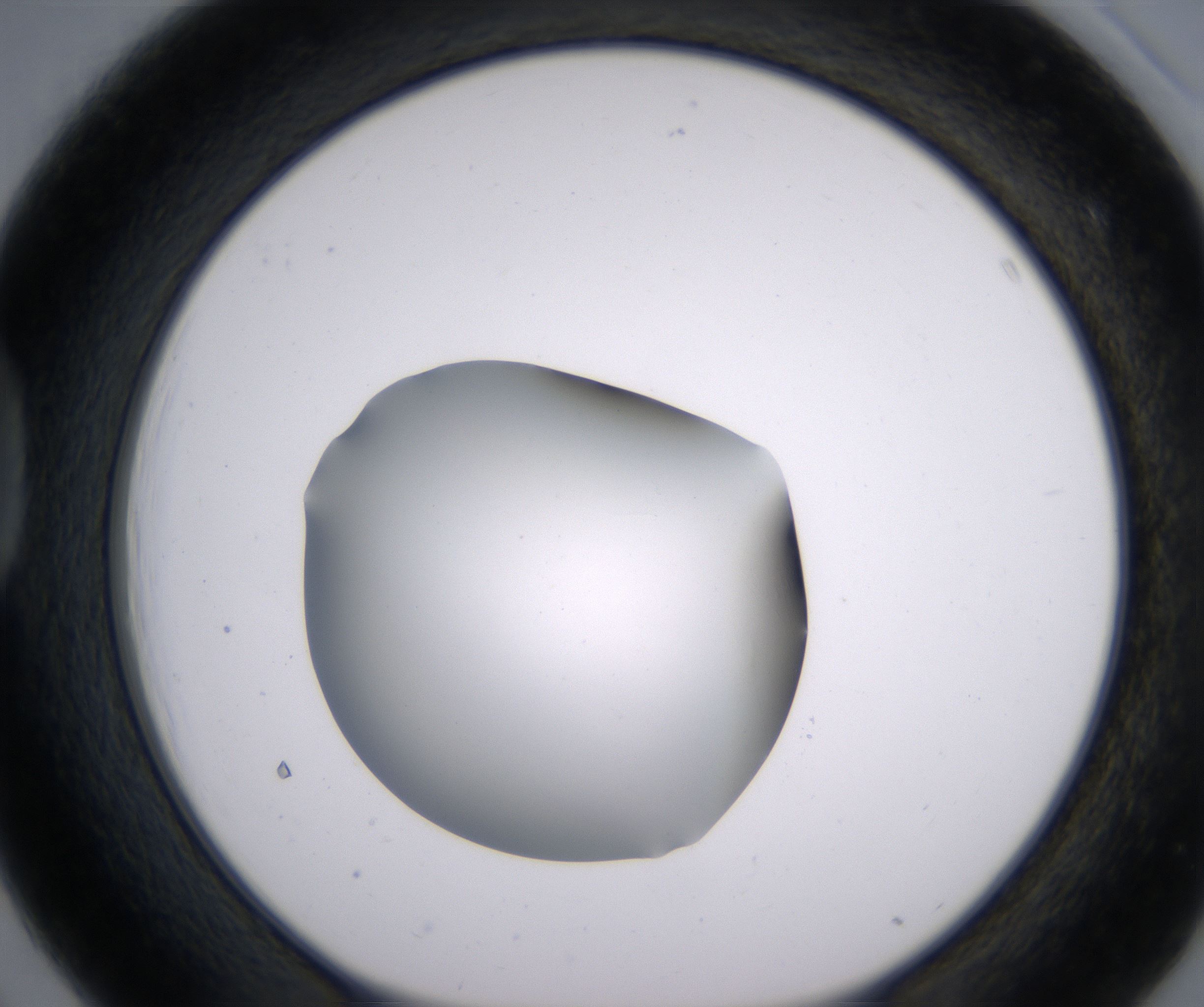 D3_HighResolution_Clear_1.jpg