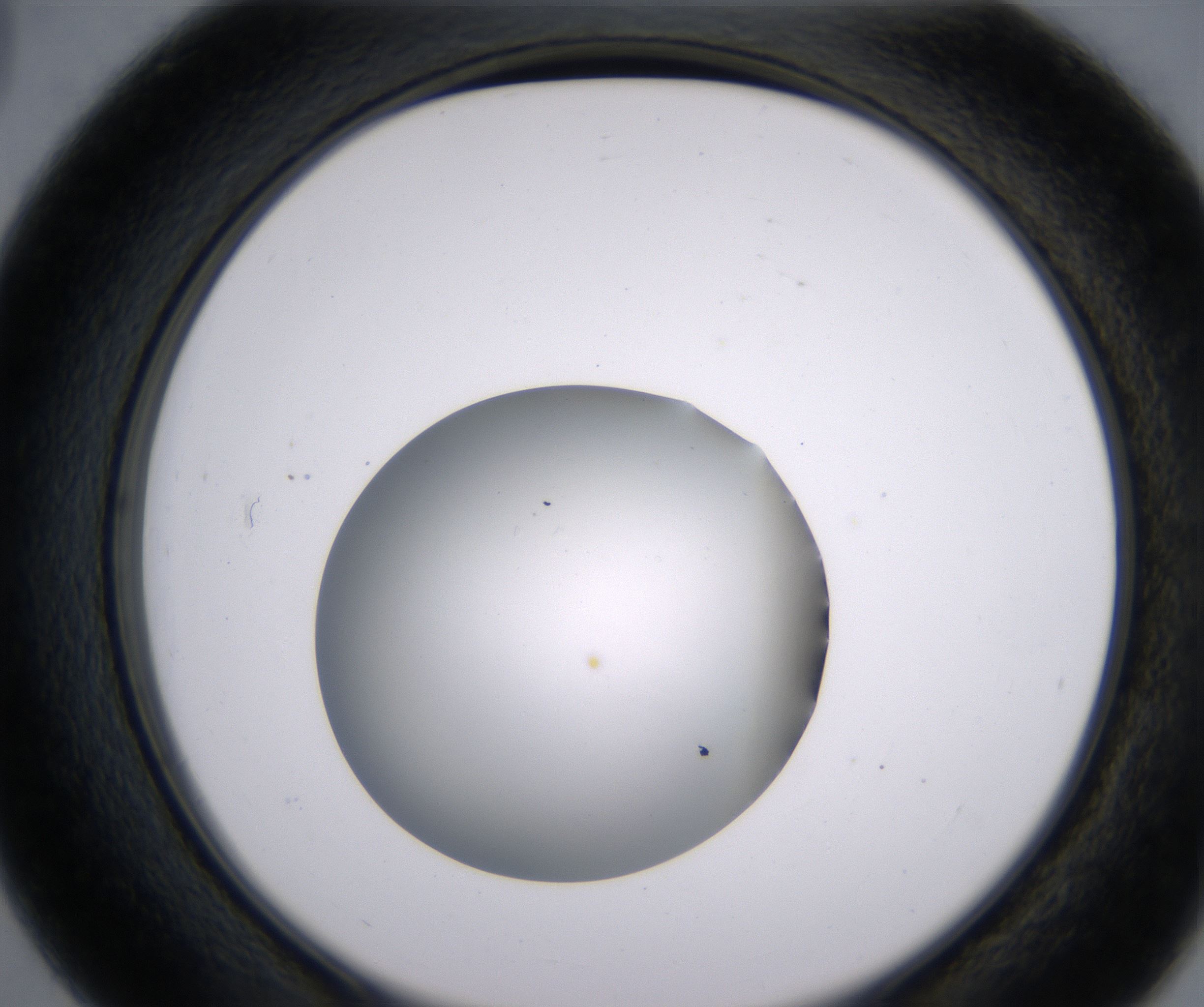 D3_HighResolution_Clear_2.jpg