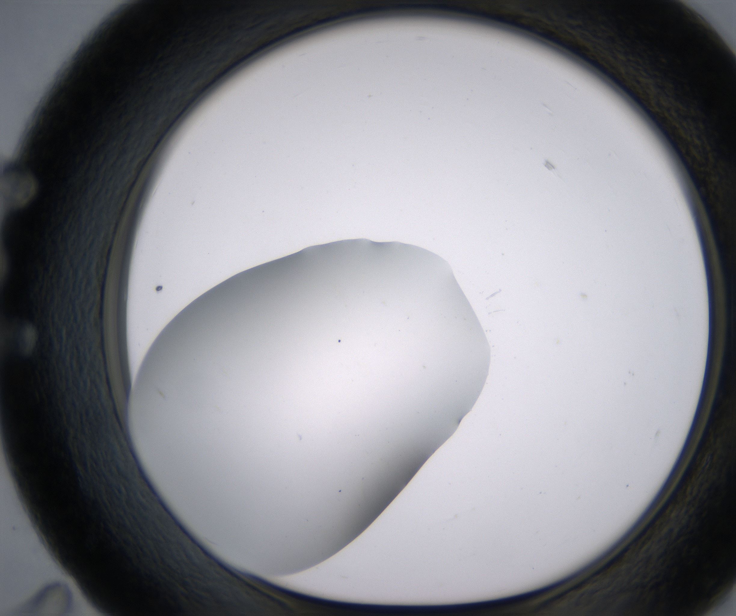 E11_HighResolution_Clear_1.jpg