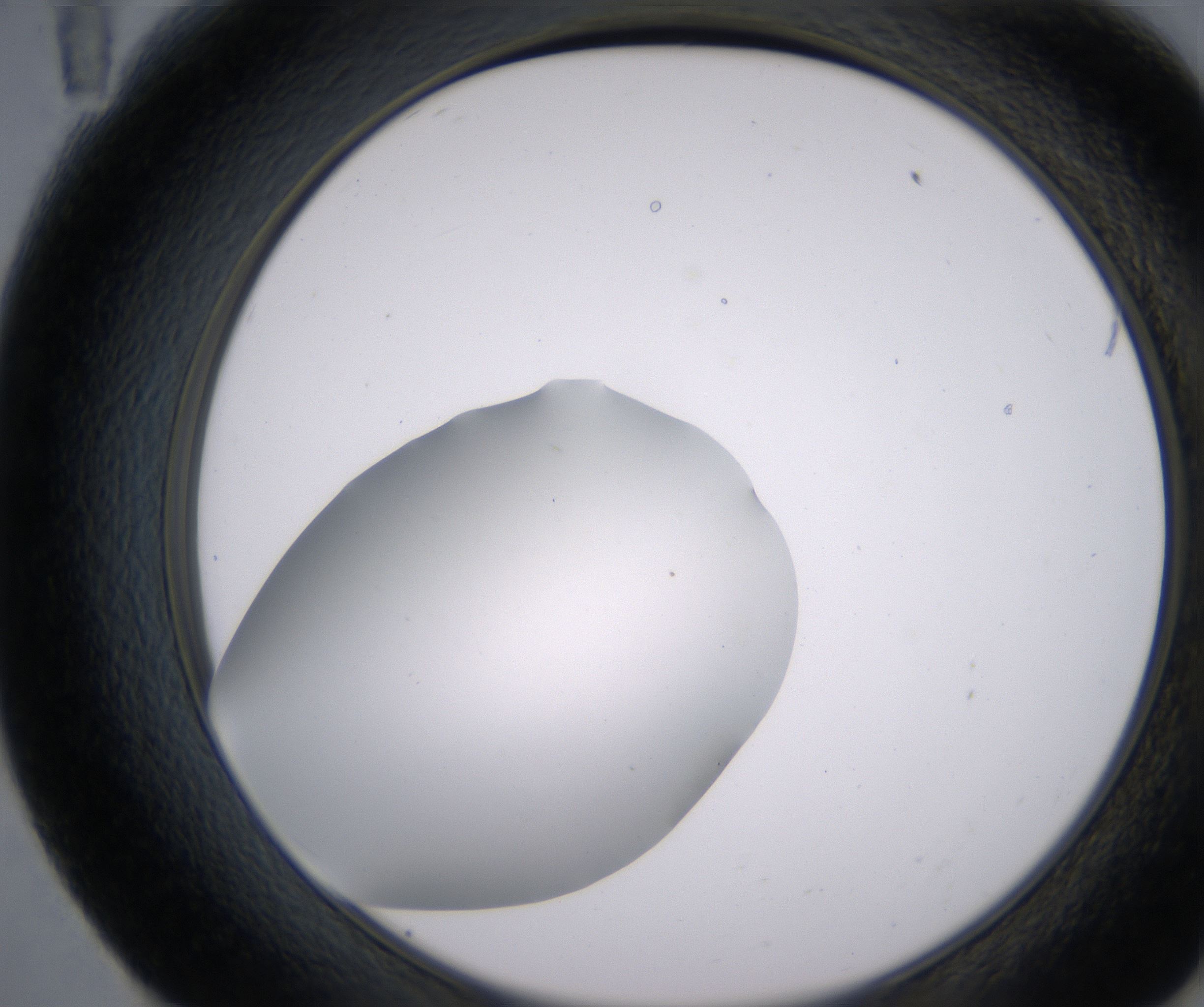 E11_HighResolution_Clear_2.jpg