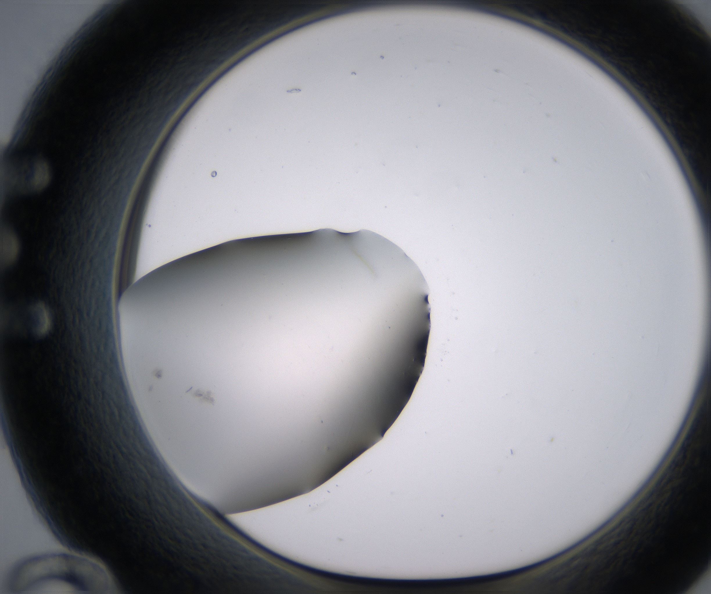 E12_HighResolution_Clear_1.jpg