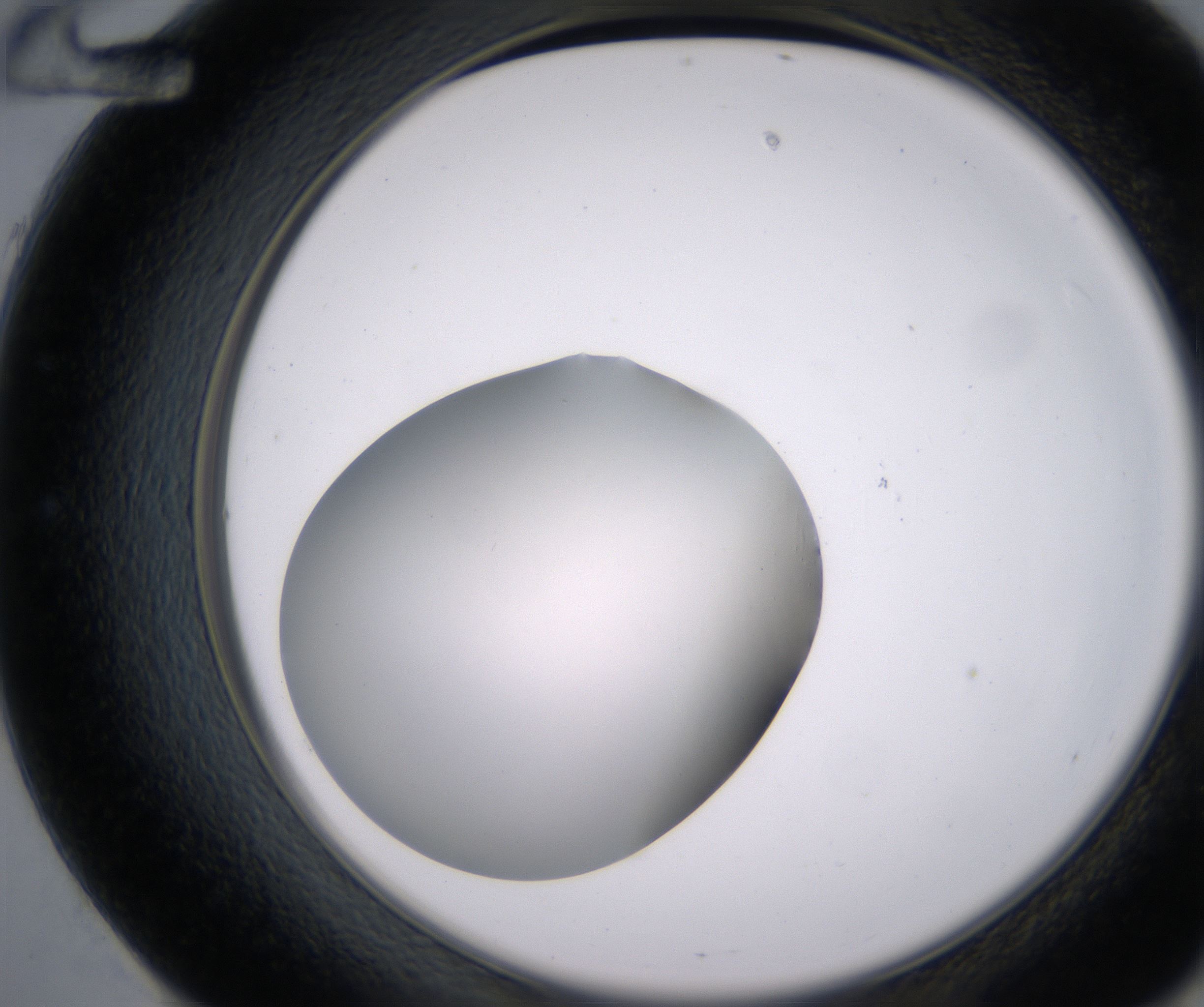 E12_HighResolution_Clear_2.jpg