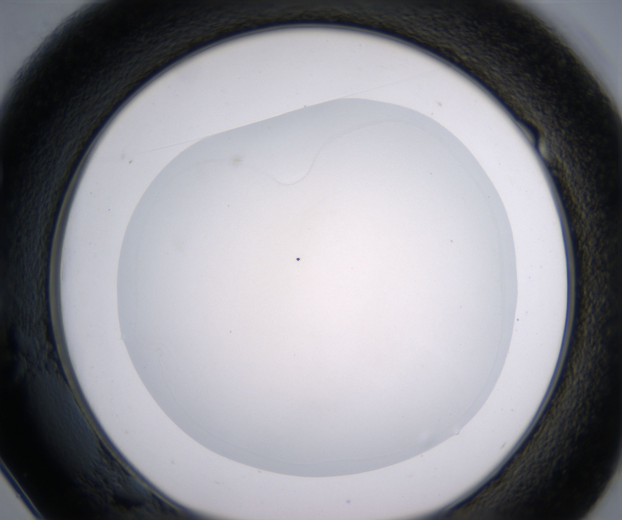 E1_HighResolution_Clear_1.jpg