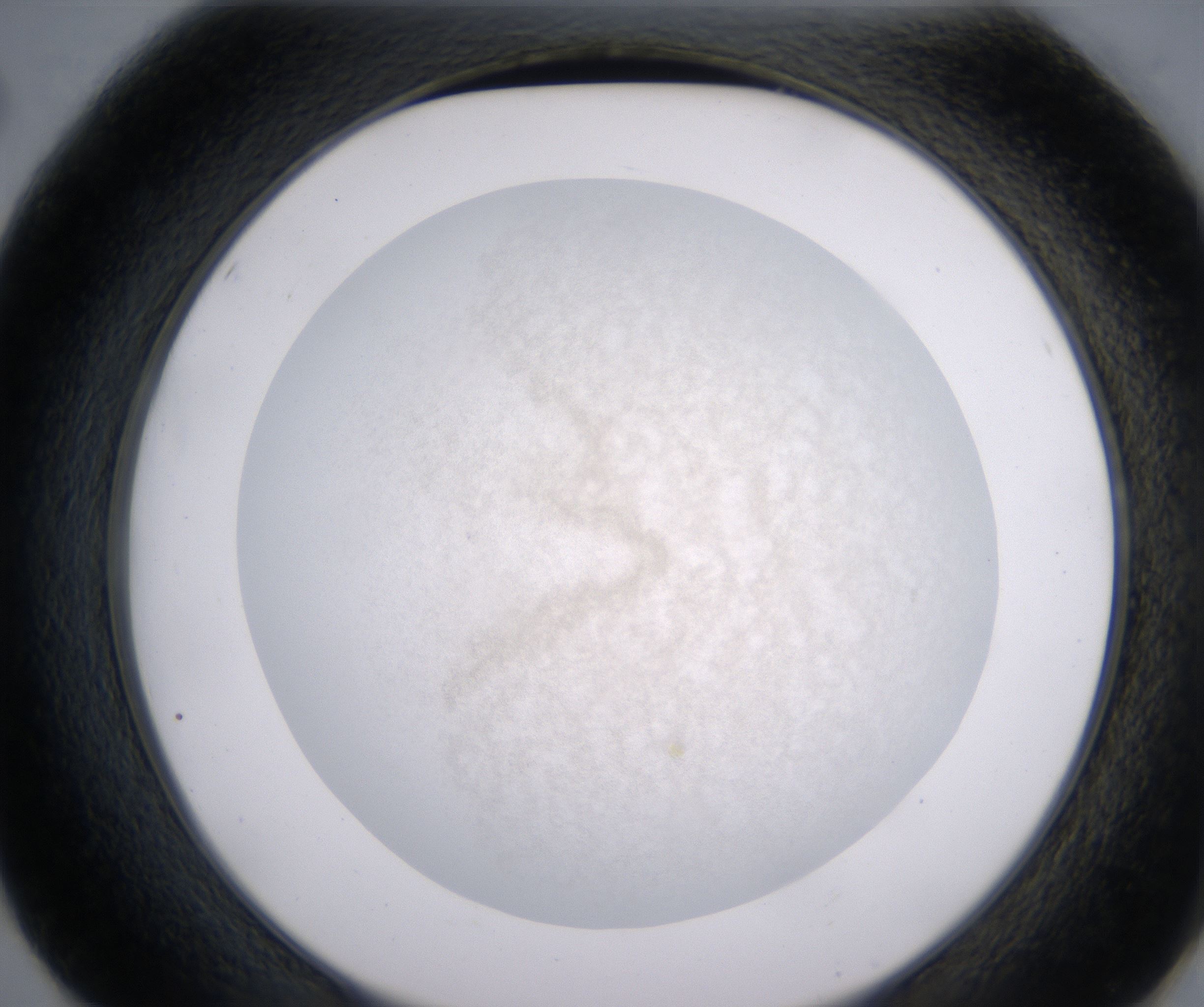 E2_HighResolution_Precipitate_2.jpg