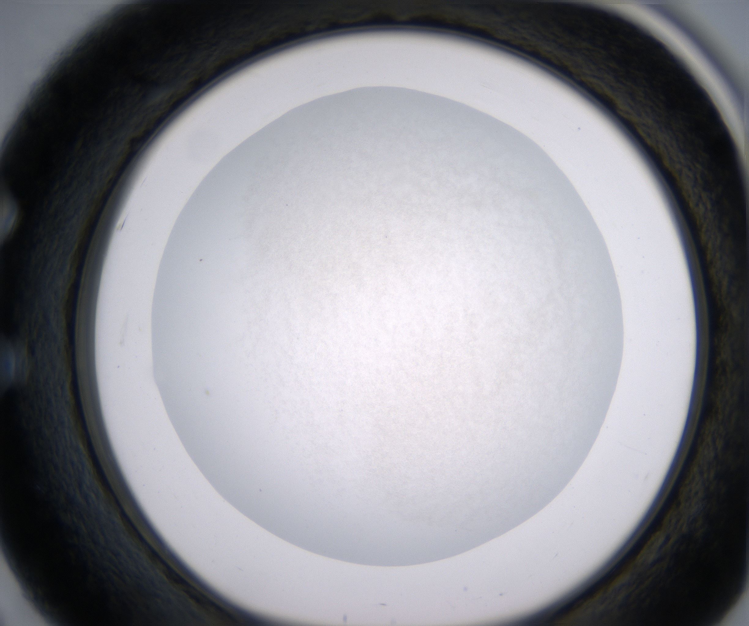 E3_HighResolution_Precipitate_1.jpg