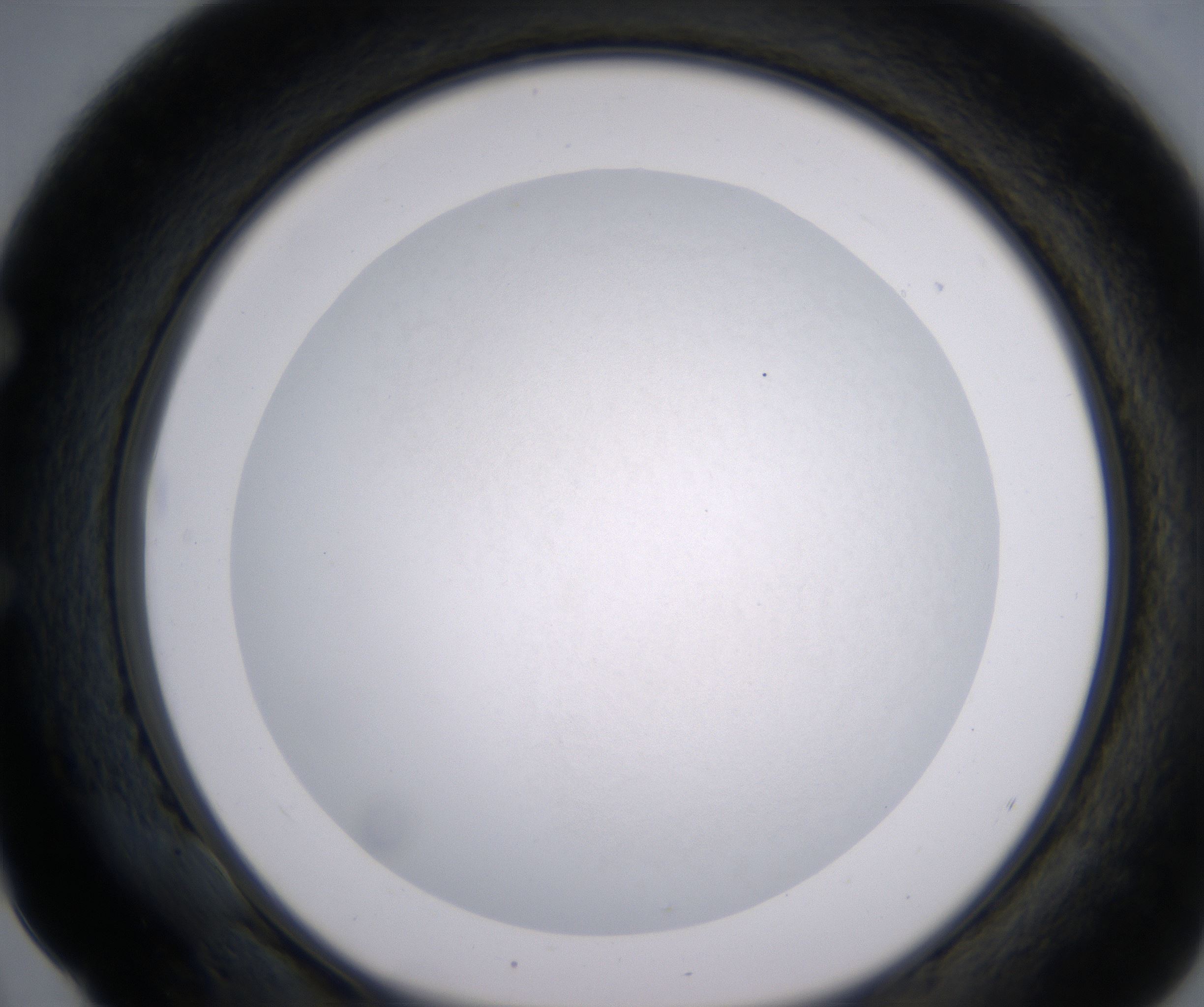 E4_HighResolution_Clear_1.jpg