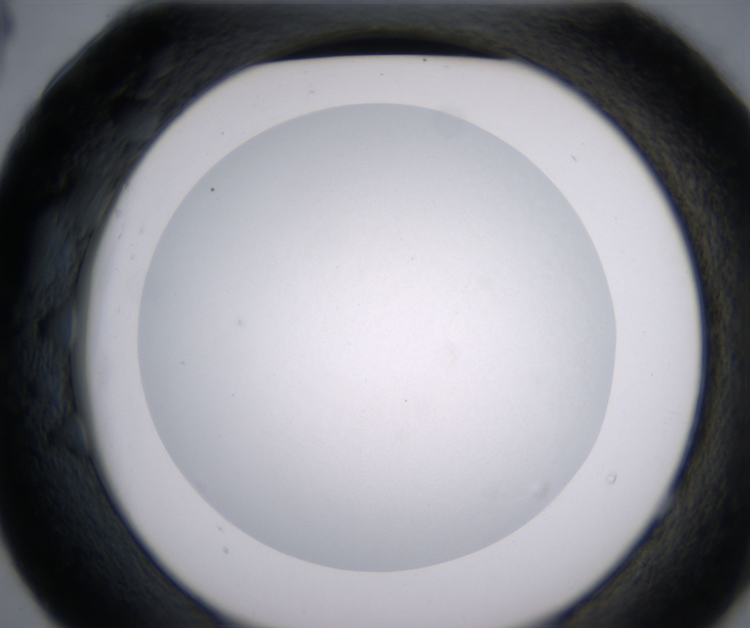 E4_HighResolution_Clear_2.jpg