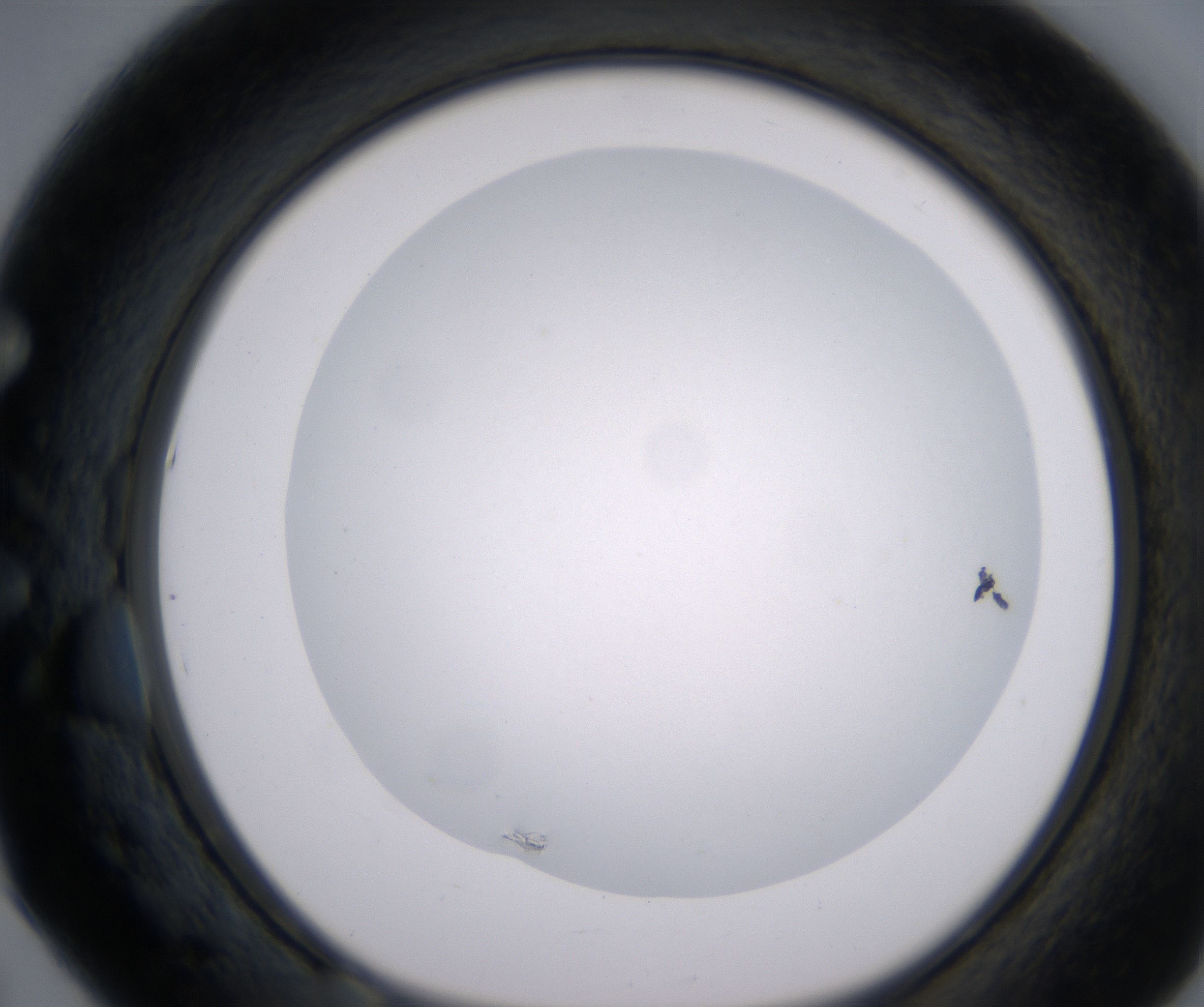 E5_HighResolution_Clear_1.jpg