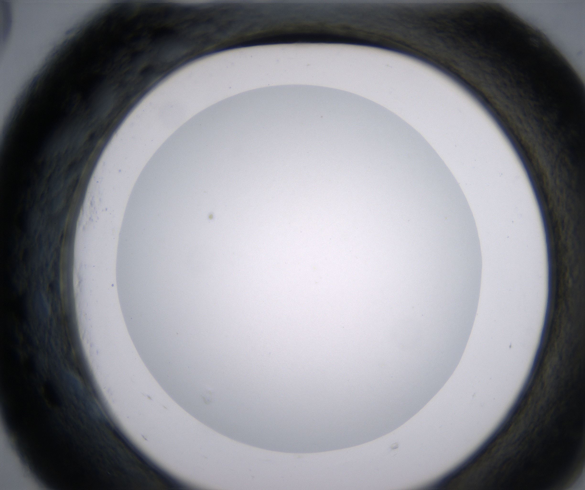 E5_HighResolution_Clear_2.jpg