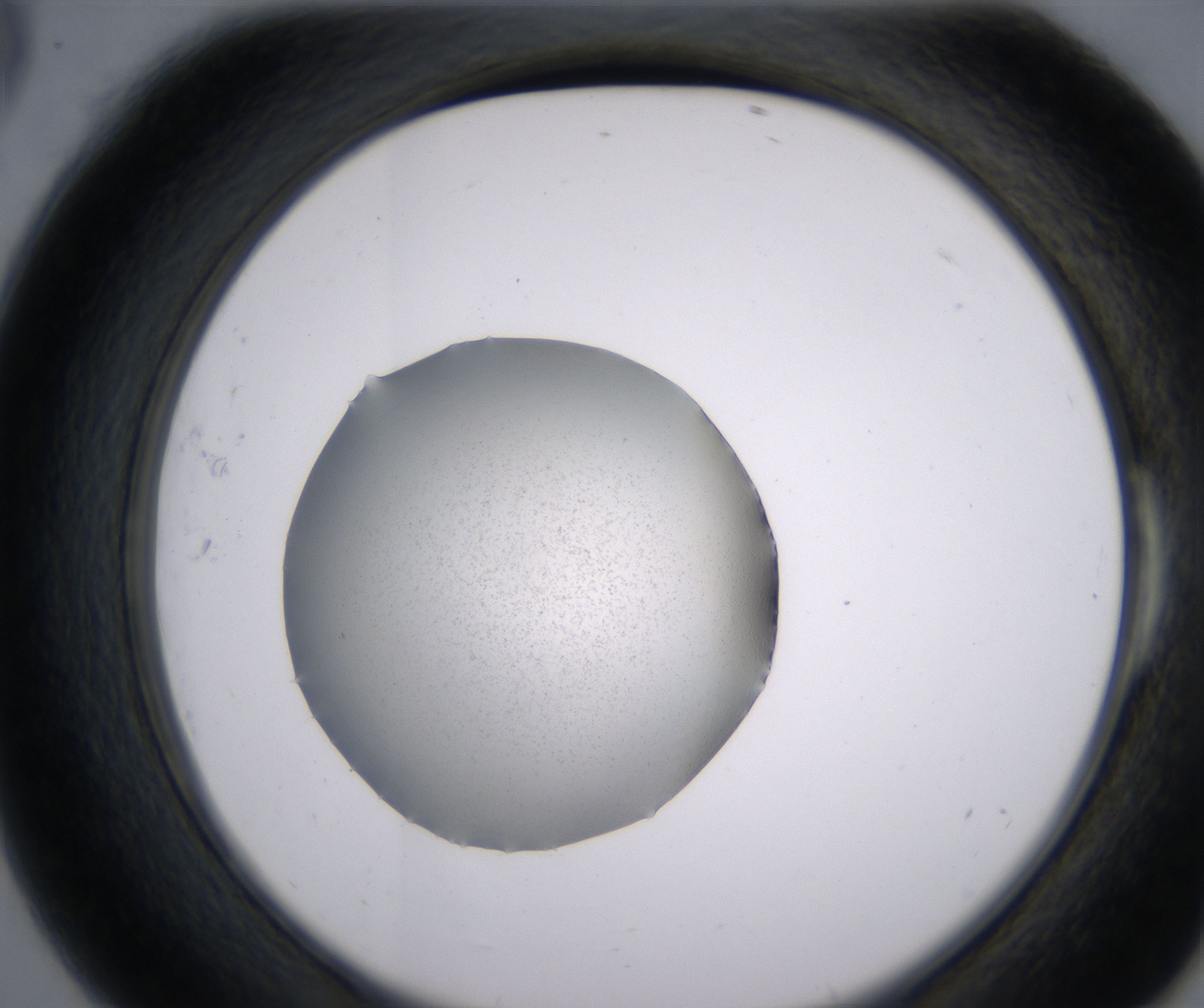 E6_HighResolution_Precipitate_2.jpg