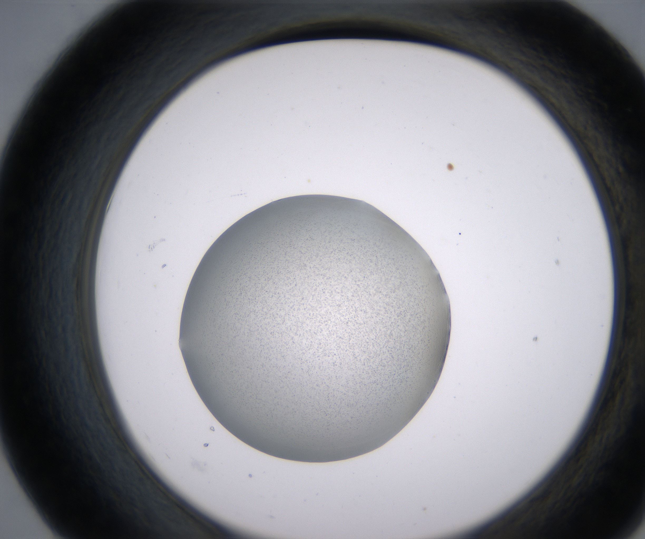 E7_HighResolution_Precipitate_2.jpg