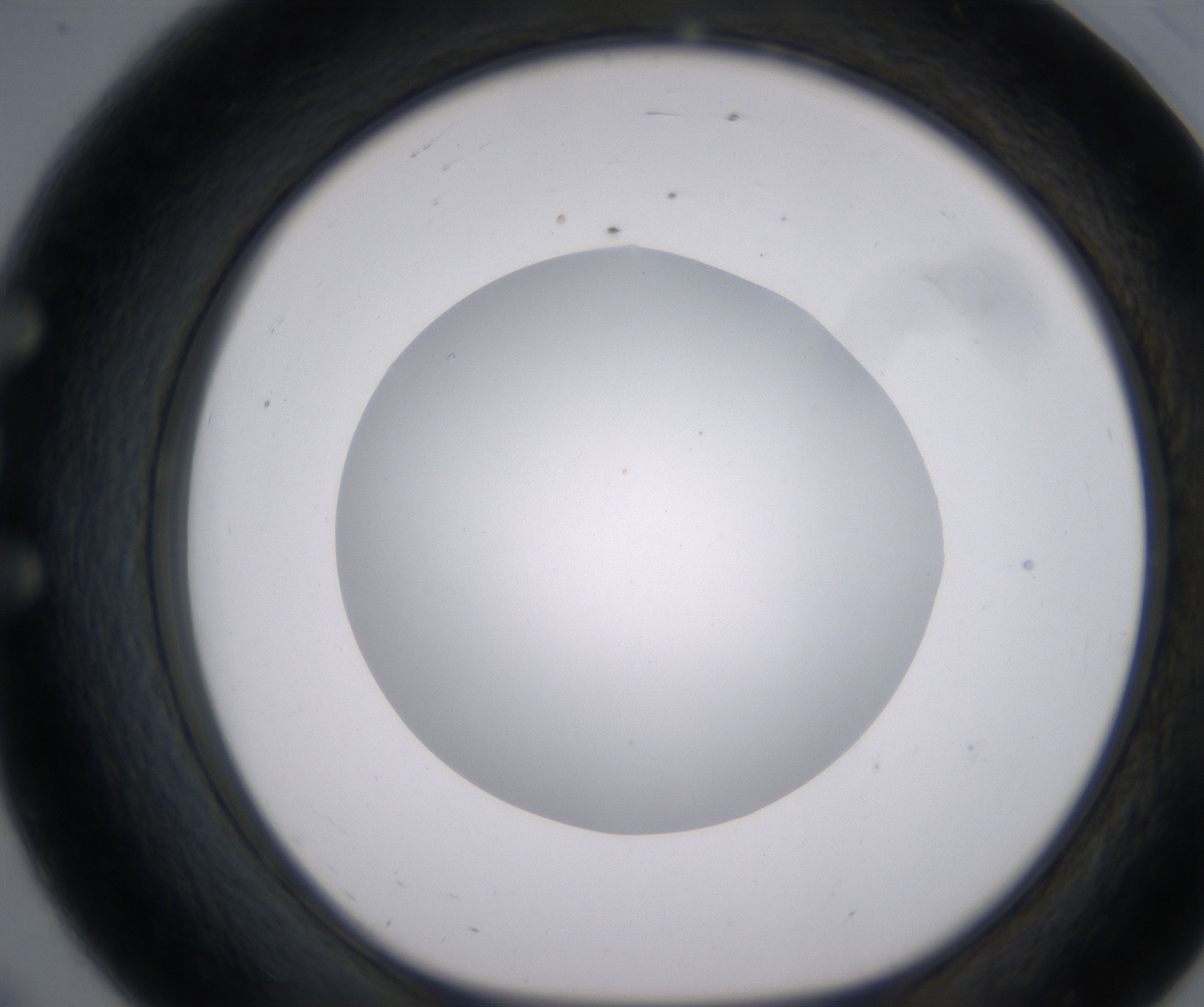 E8_HighResolution_Clear_1.jpg