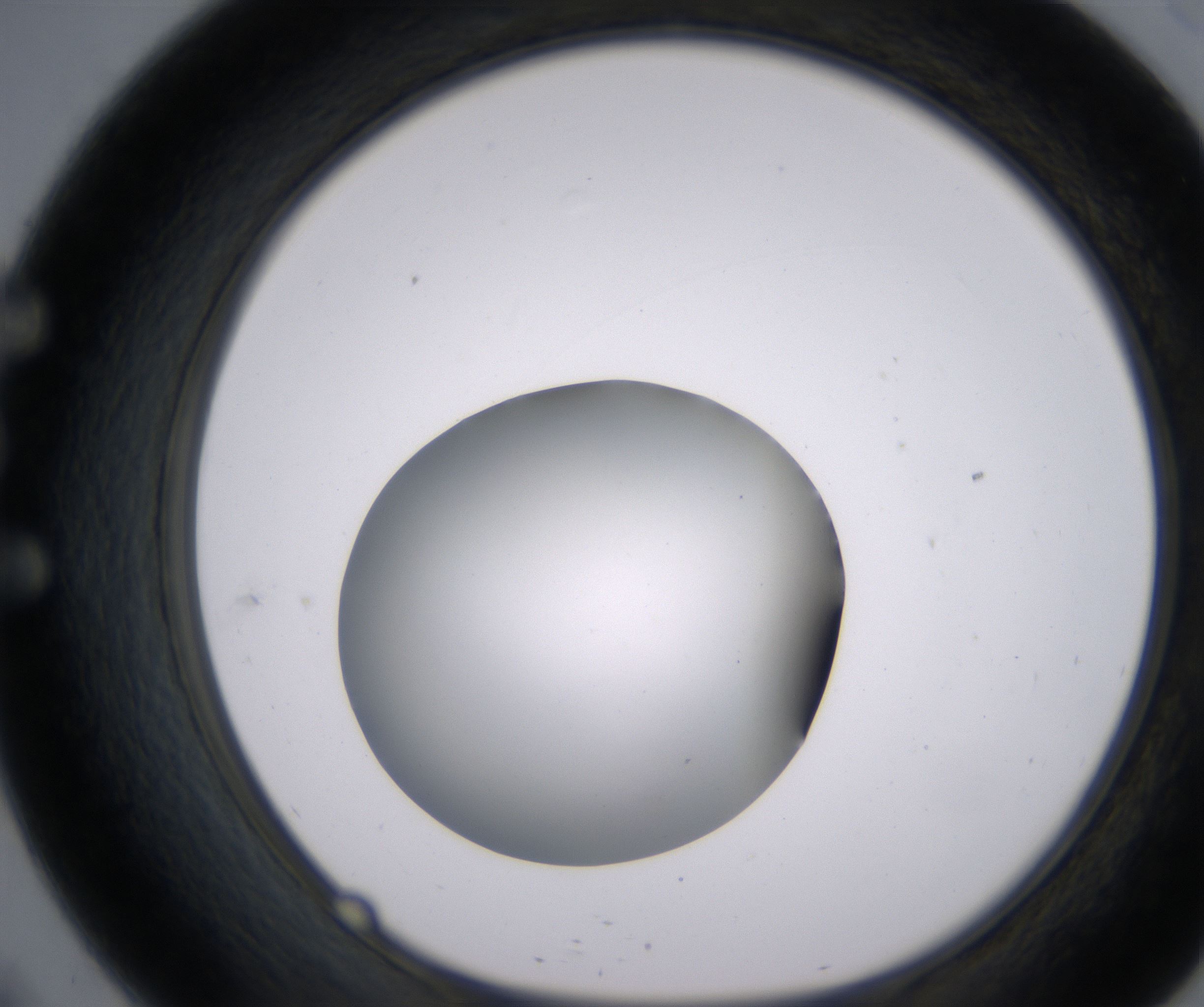 E9_HighResolution_Clear_1.jpg