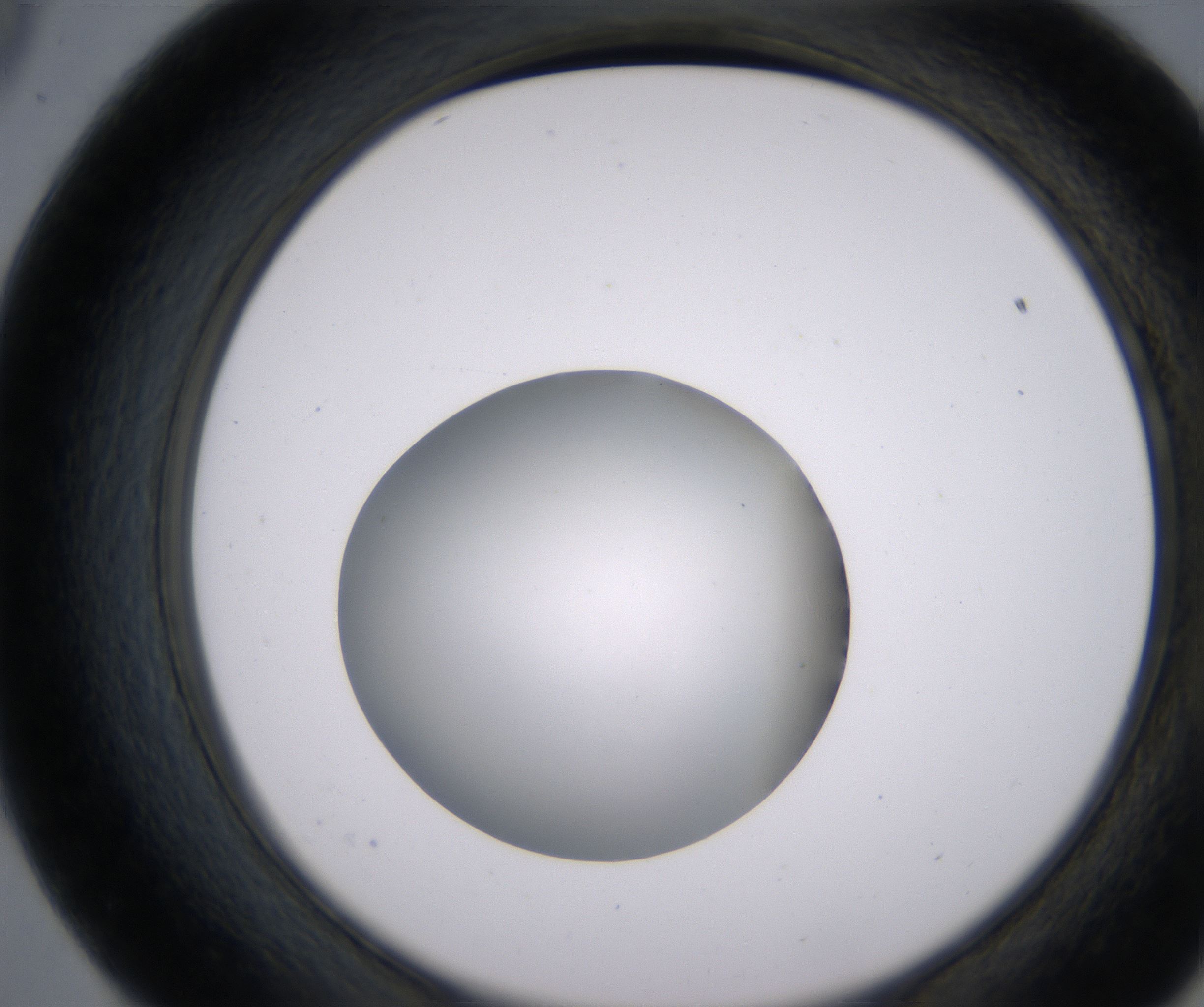 E9_HighResolution_Clear_2.jpg