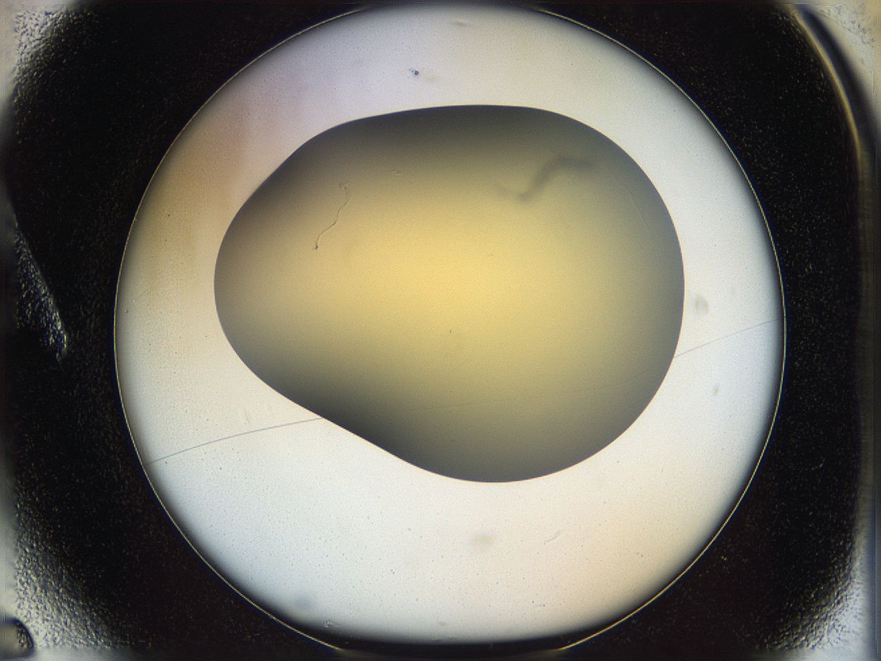 05k0_A6_ImagerDefaults_0.jpg