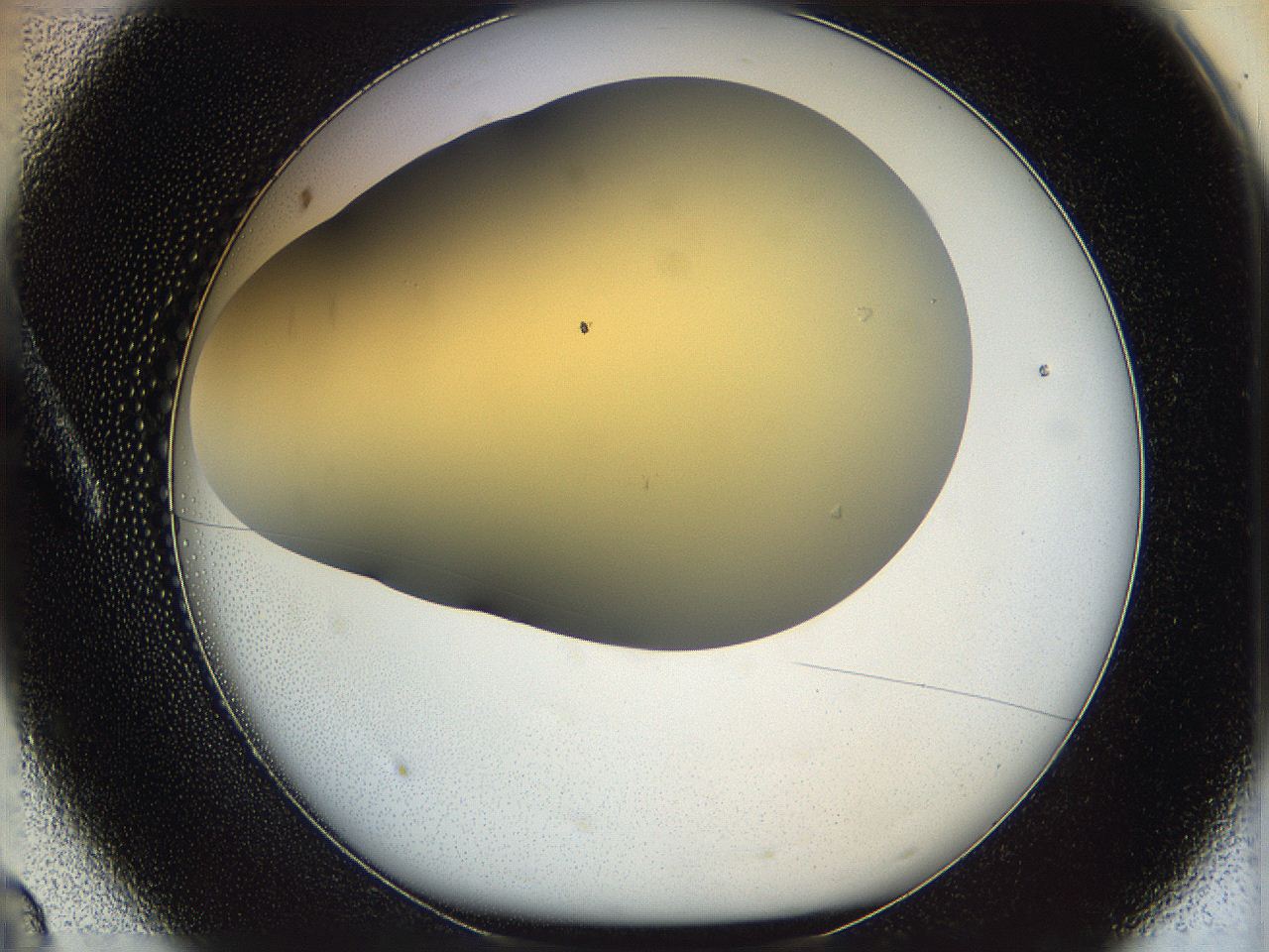 05k0_A8_ImagerDefaults_0.jpg