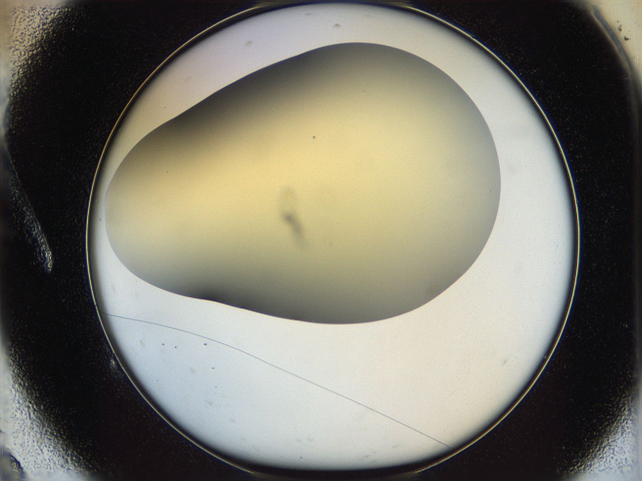 05k0_A9_ImagerDefaults_0.jpg
