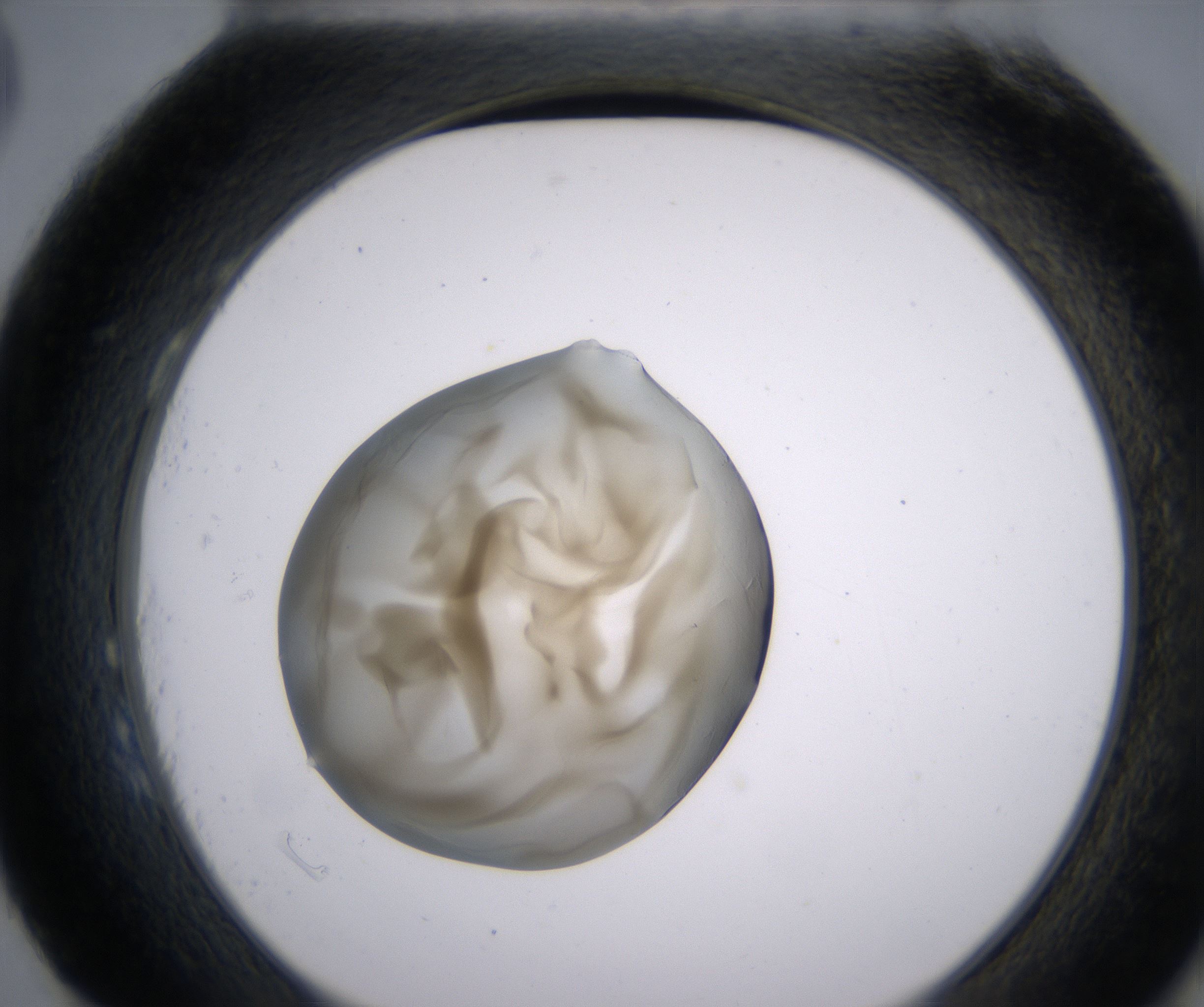 H3_HighResolution_Precipitate_2.jpg