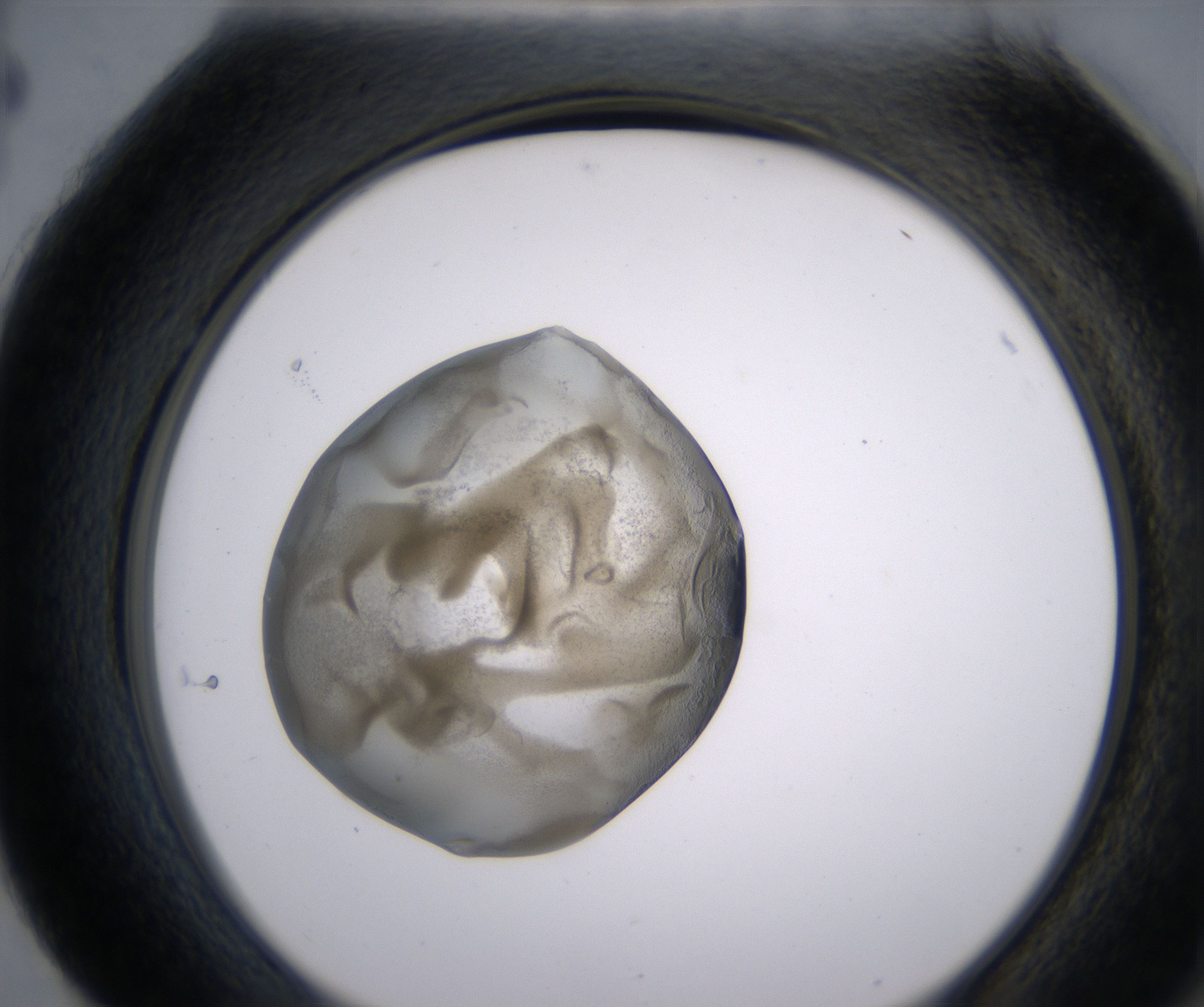 H4_HighResolution_Precipitate_2.jpg