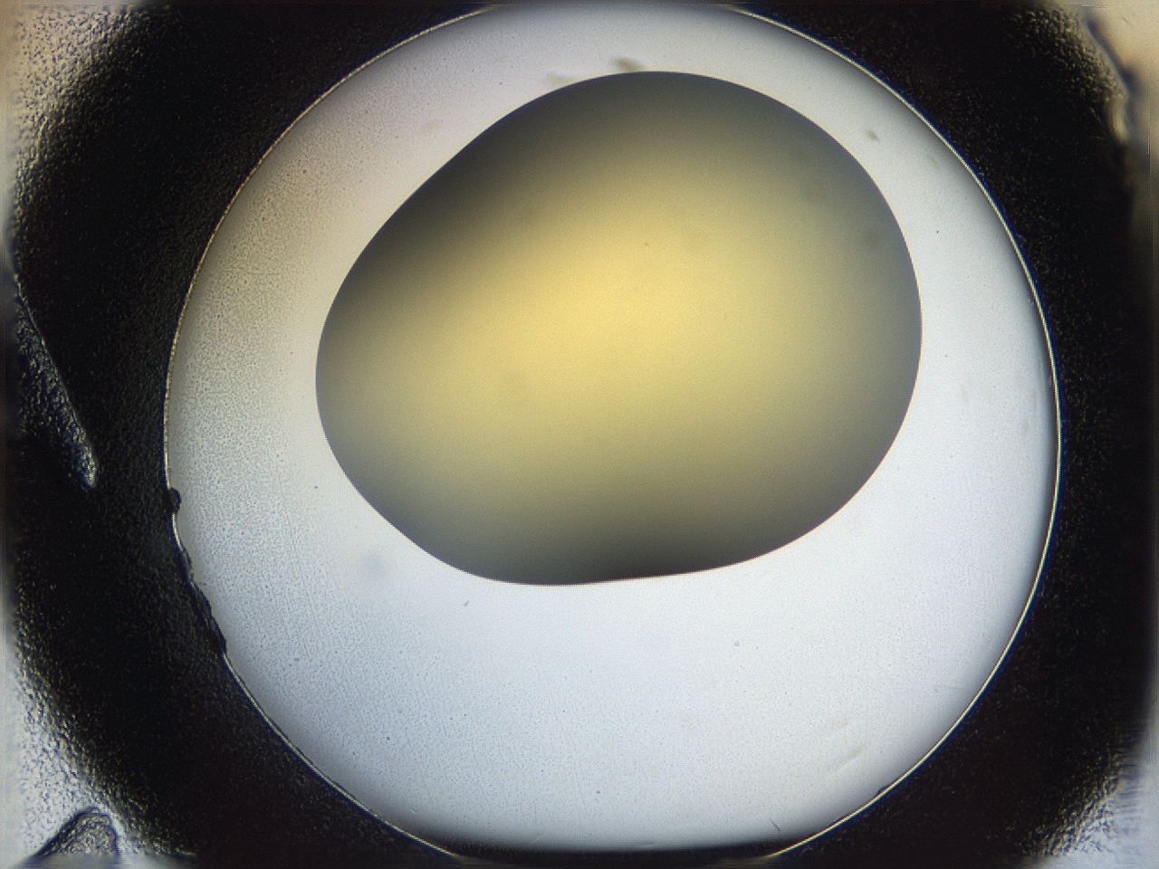 05k0_A11_ImagerDefaults_0.jpg