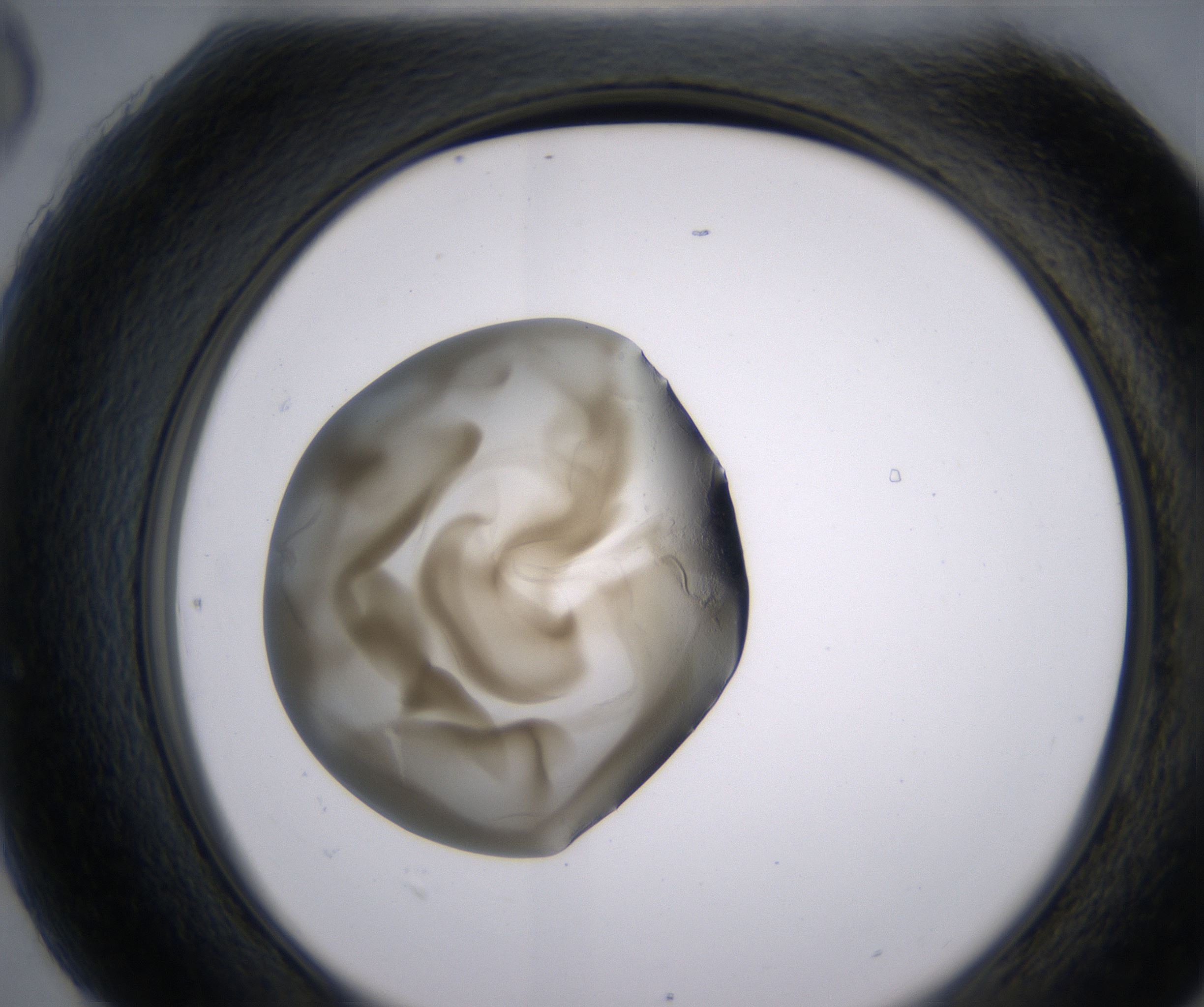 H6_HighResolution_Precipitate_2.jpg
