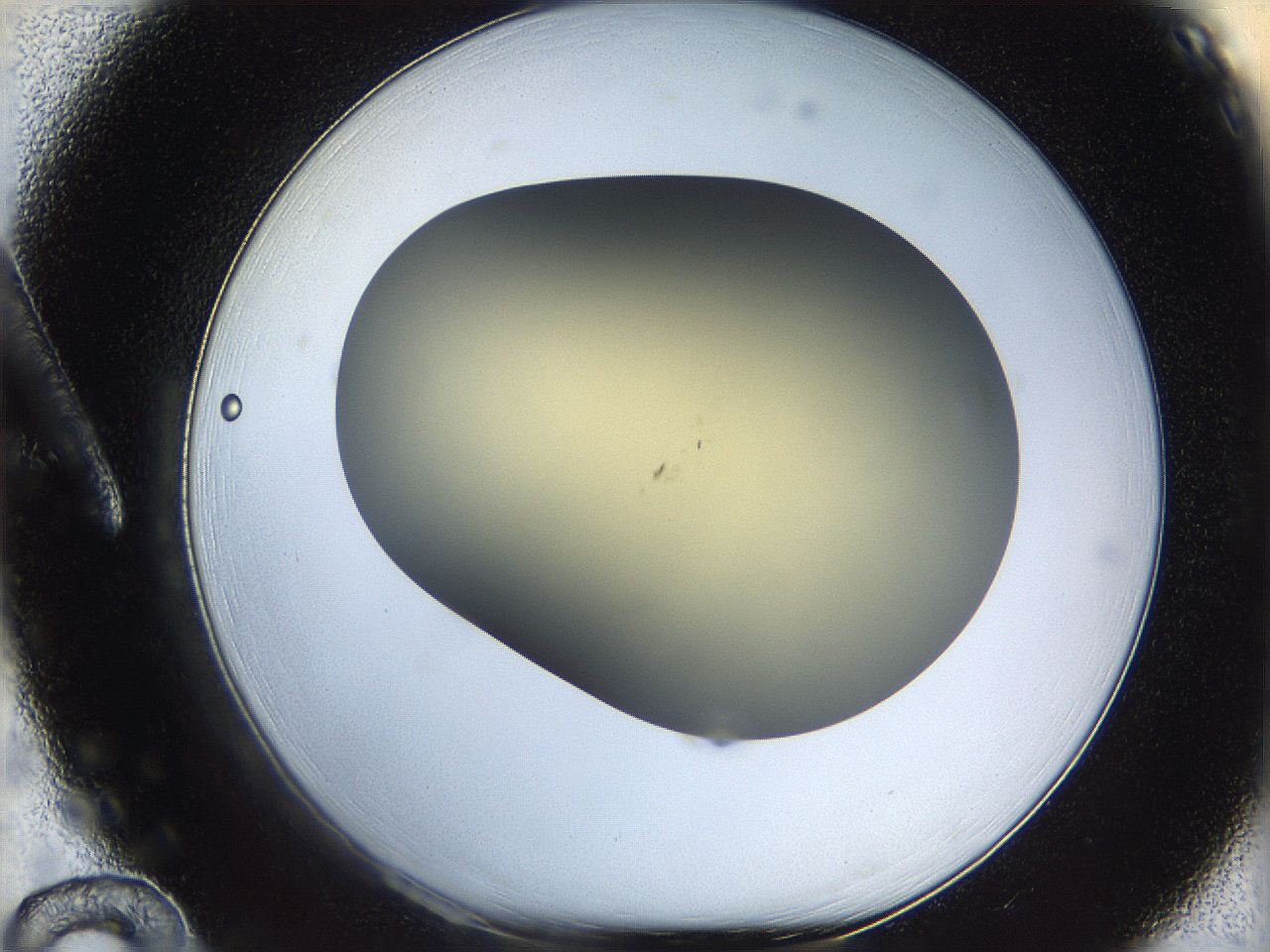 05k0_A12_ImagerDefaults_0.jpg