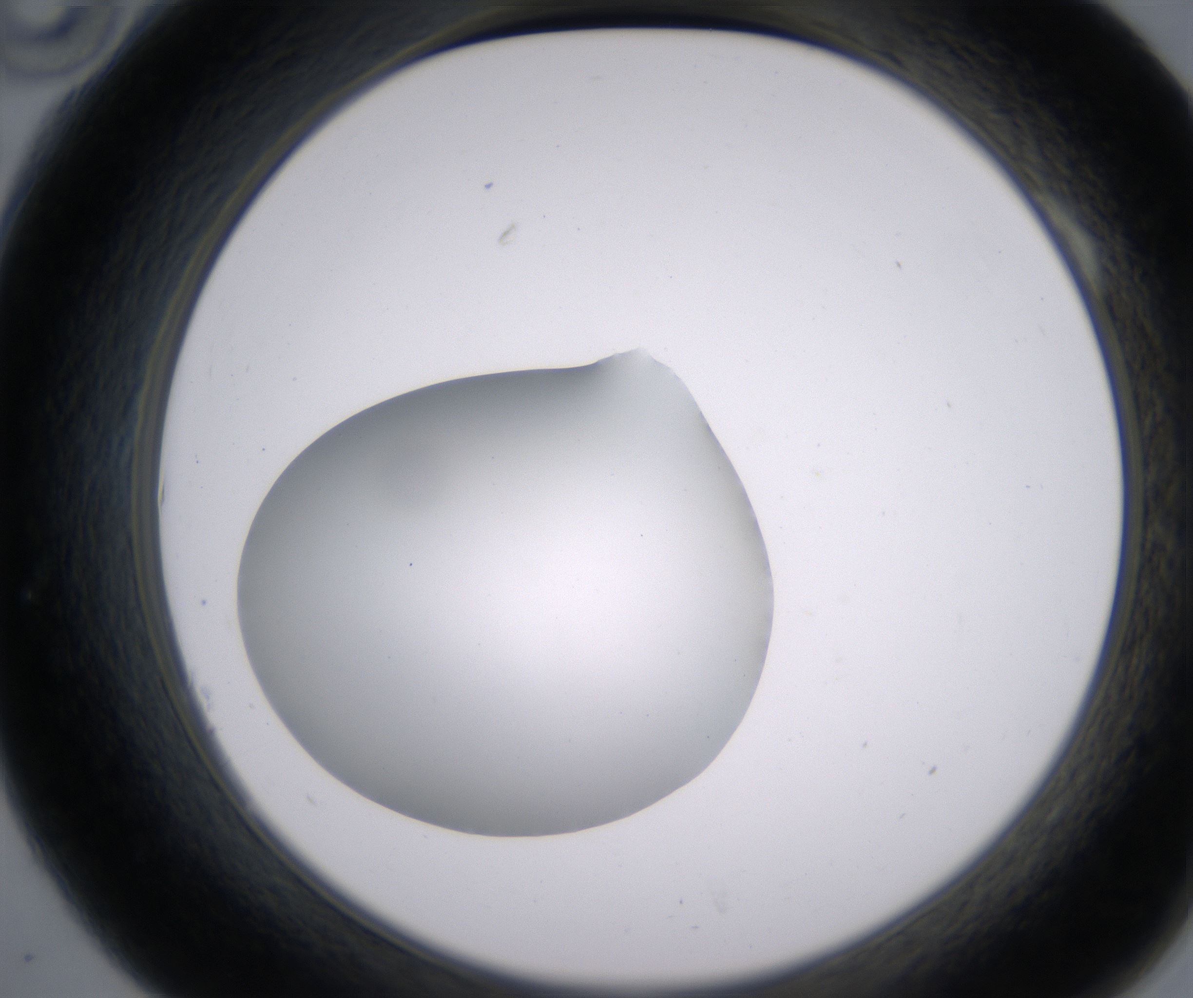 A10_HighResolution_Clear_2.jpg