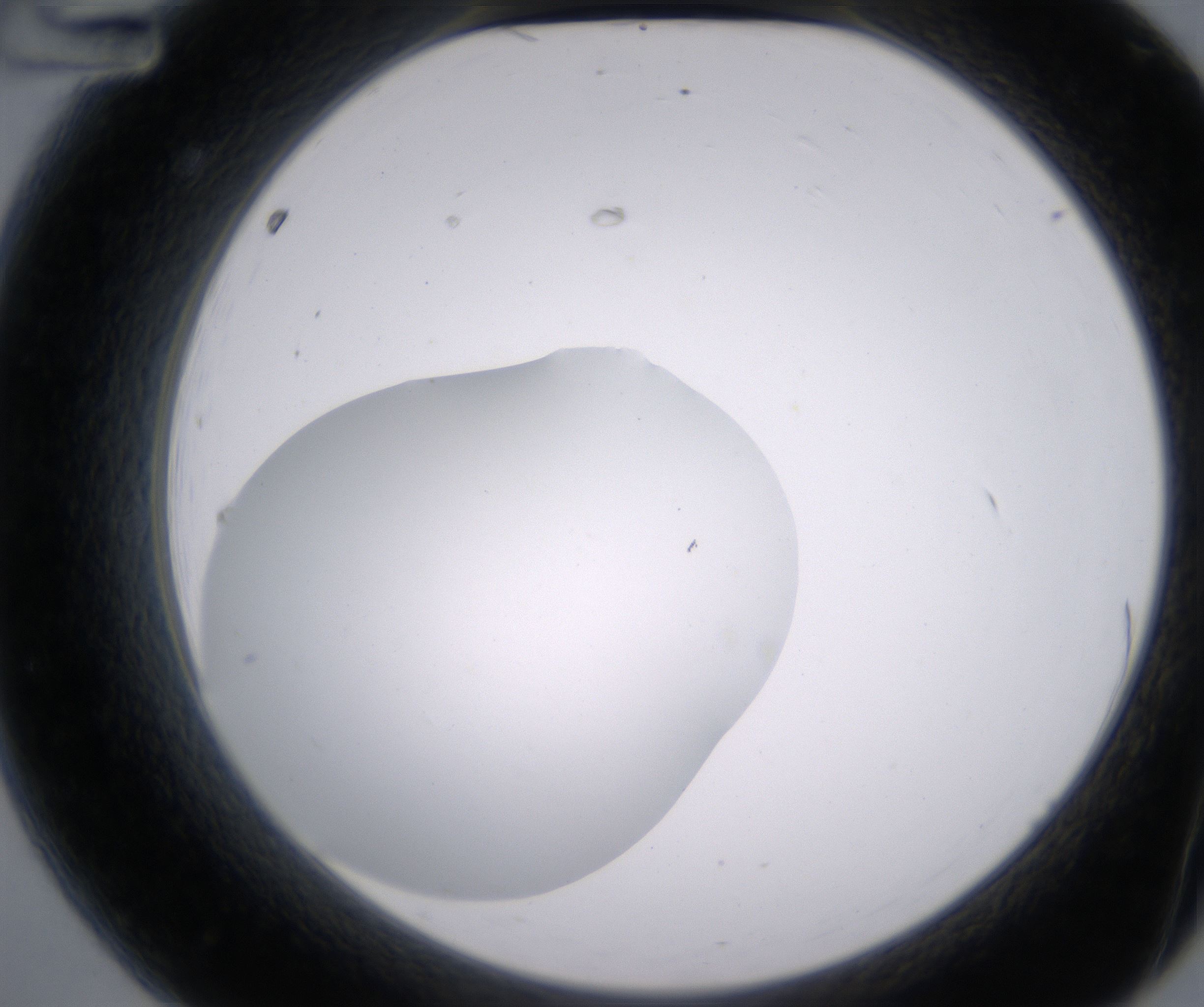 A12_HighResolution_Clear_2.jpg