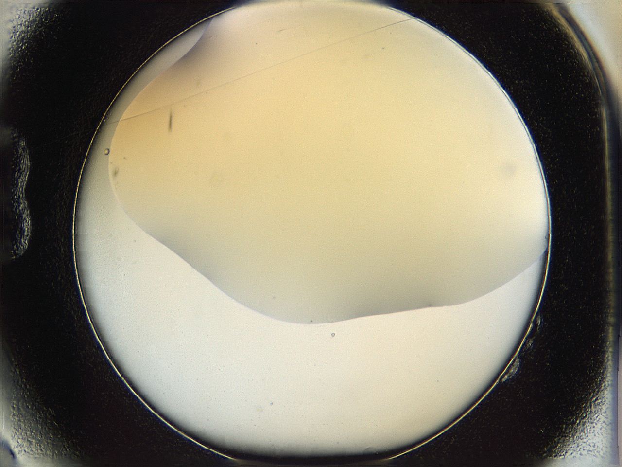 05k0_B2_ImagerDefaults_0.jpg
