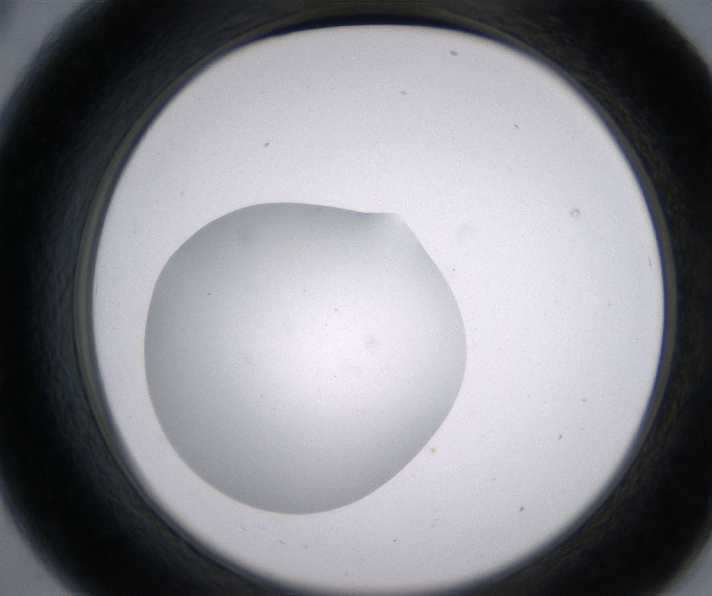 A8_HighResolution_Clear_2.jpg