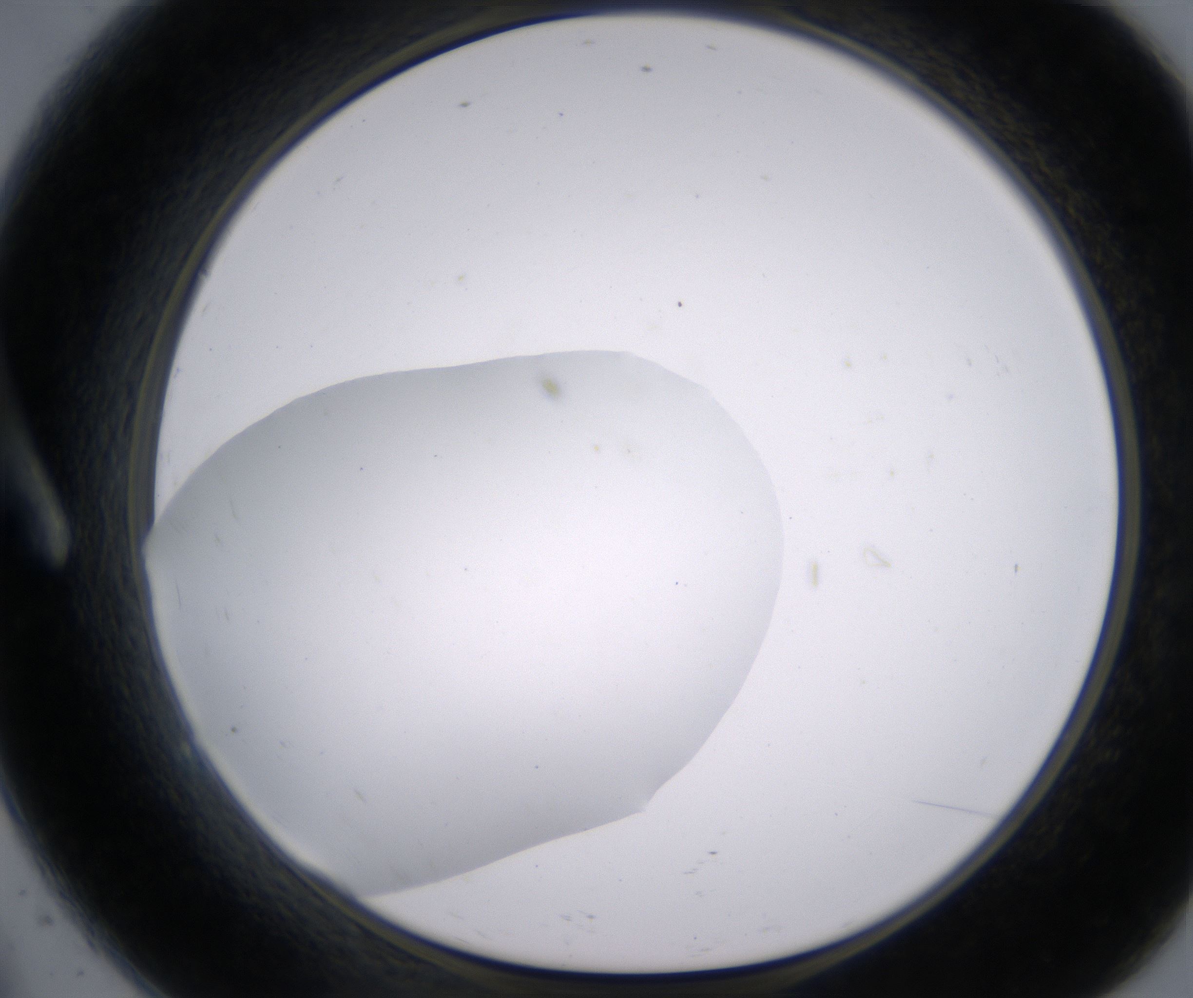 A9_HighResolution_Clear_1.jpg