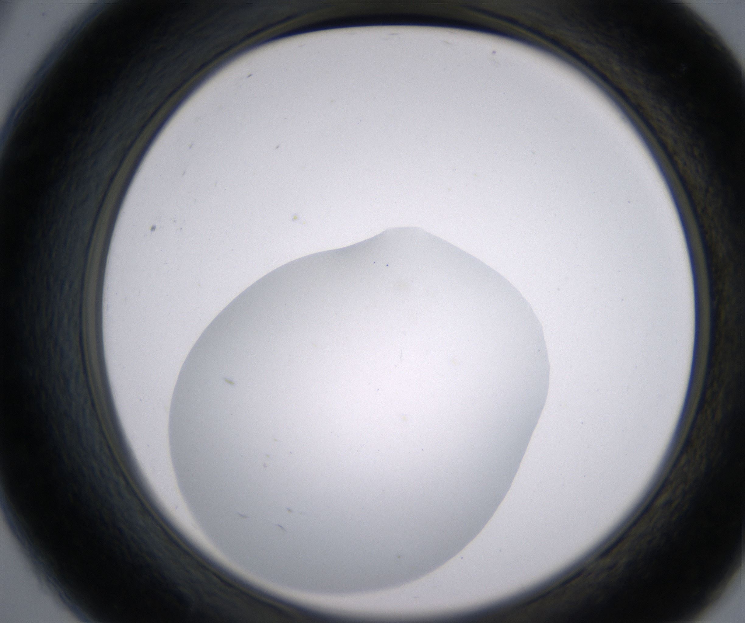 A9_HighResolution_Clear_2.jpg