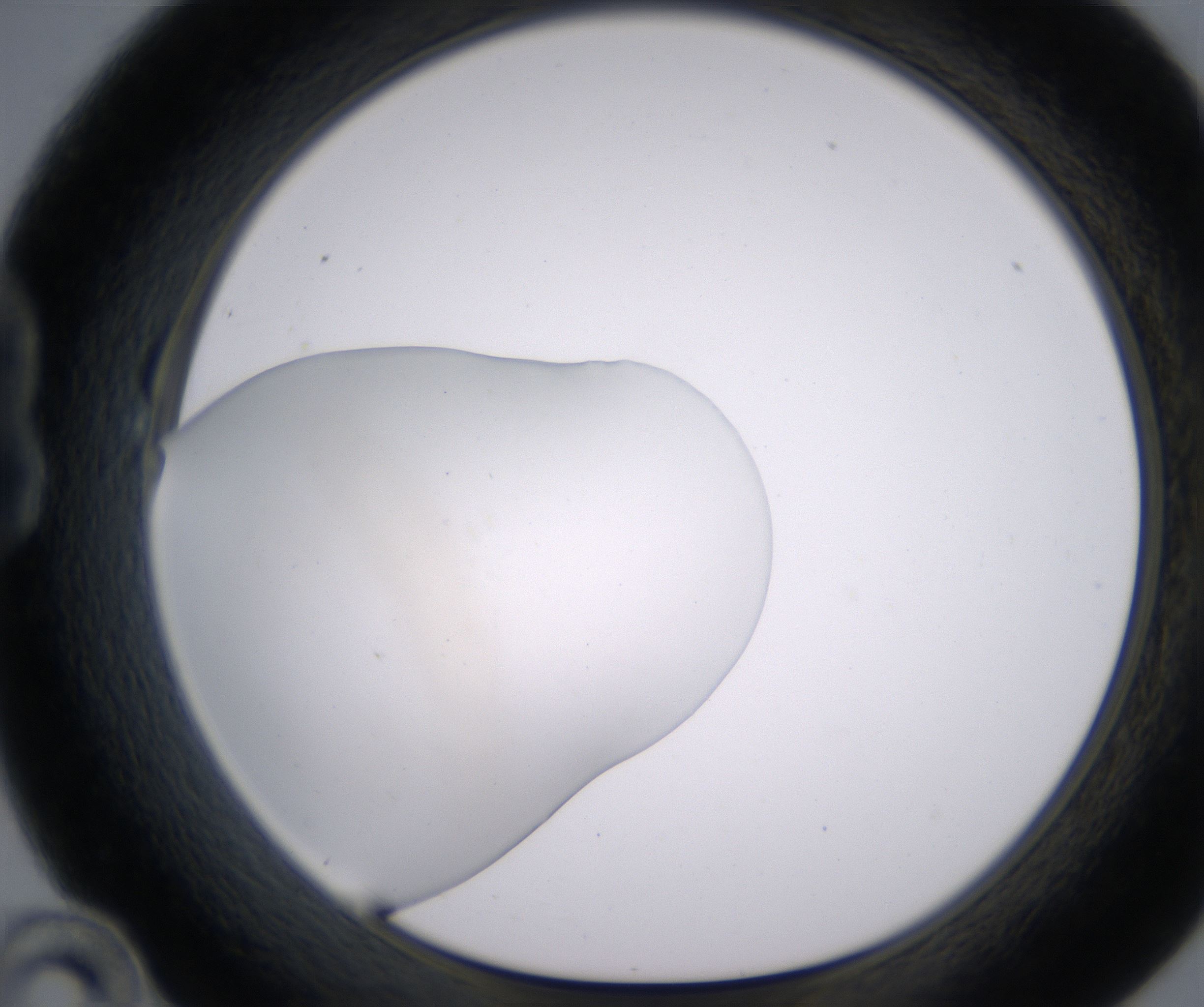 B10_HighResolution_Clear_1.jpg
