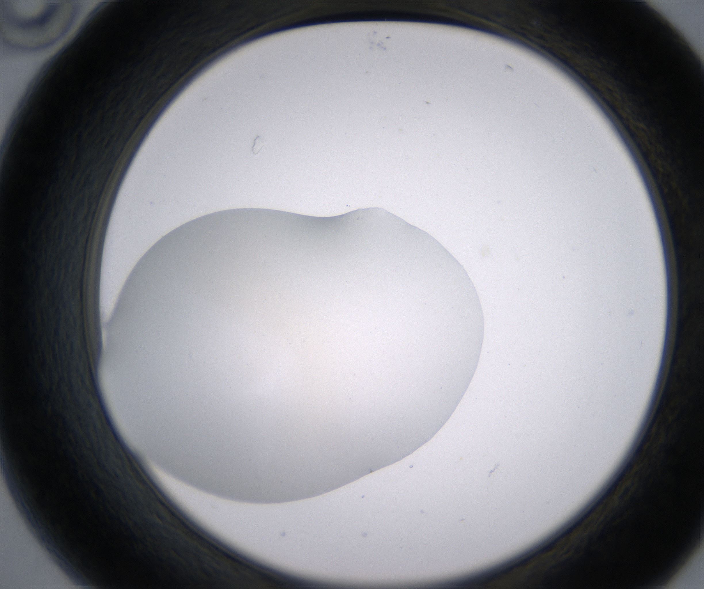 B10_HighResolution_Clear_2.jpg