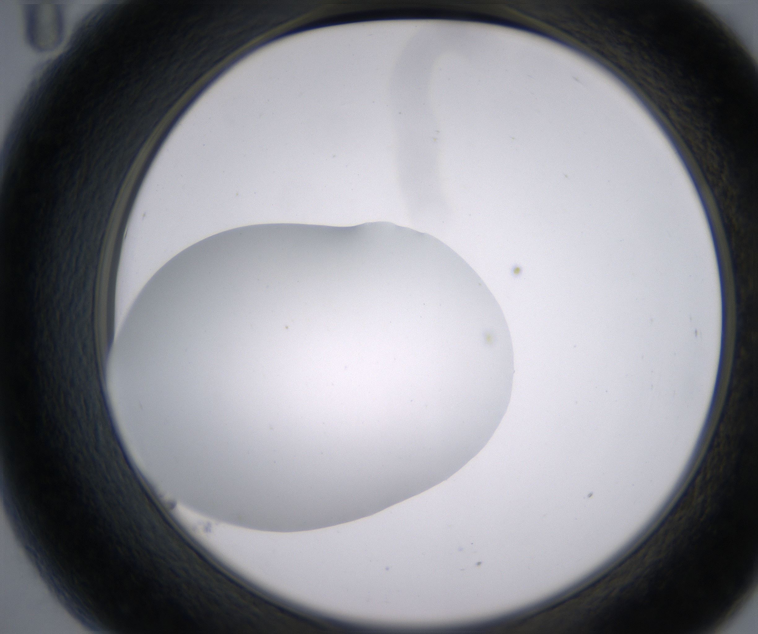 B11_HighResolution_Clear_2.jpg