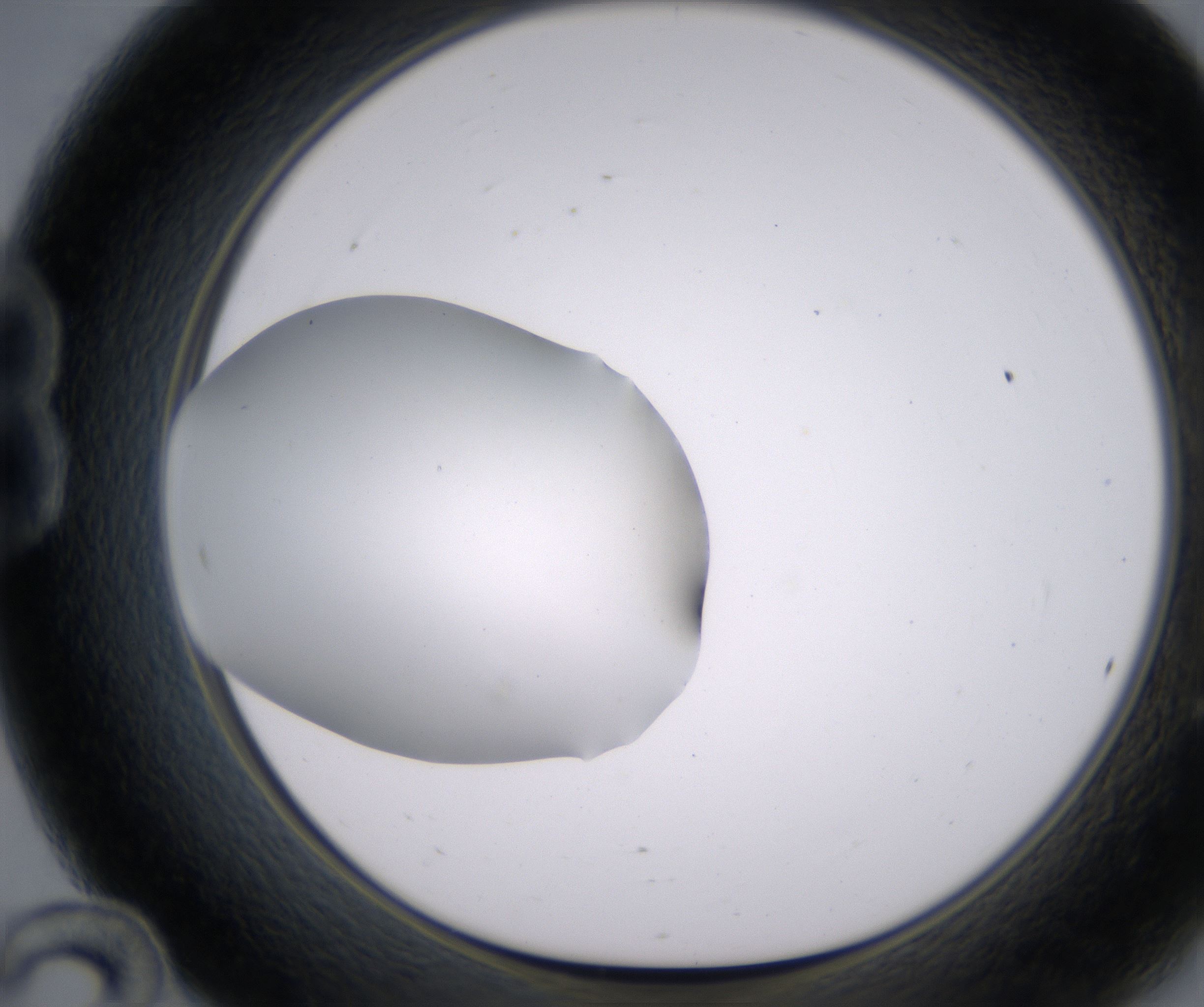 B12_HighResolution_Clear_1.jpg