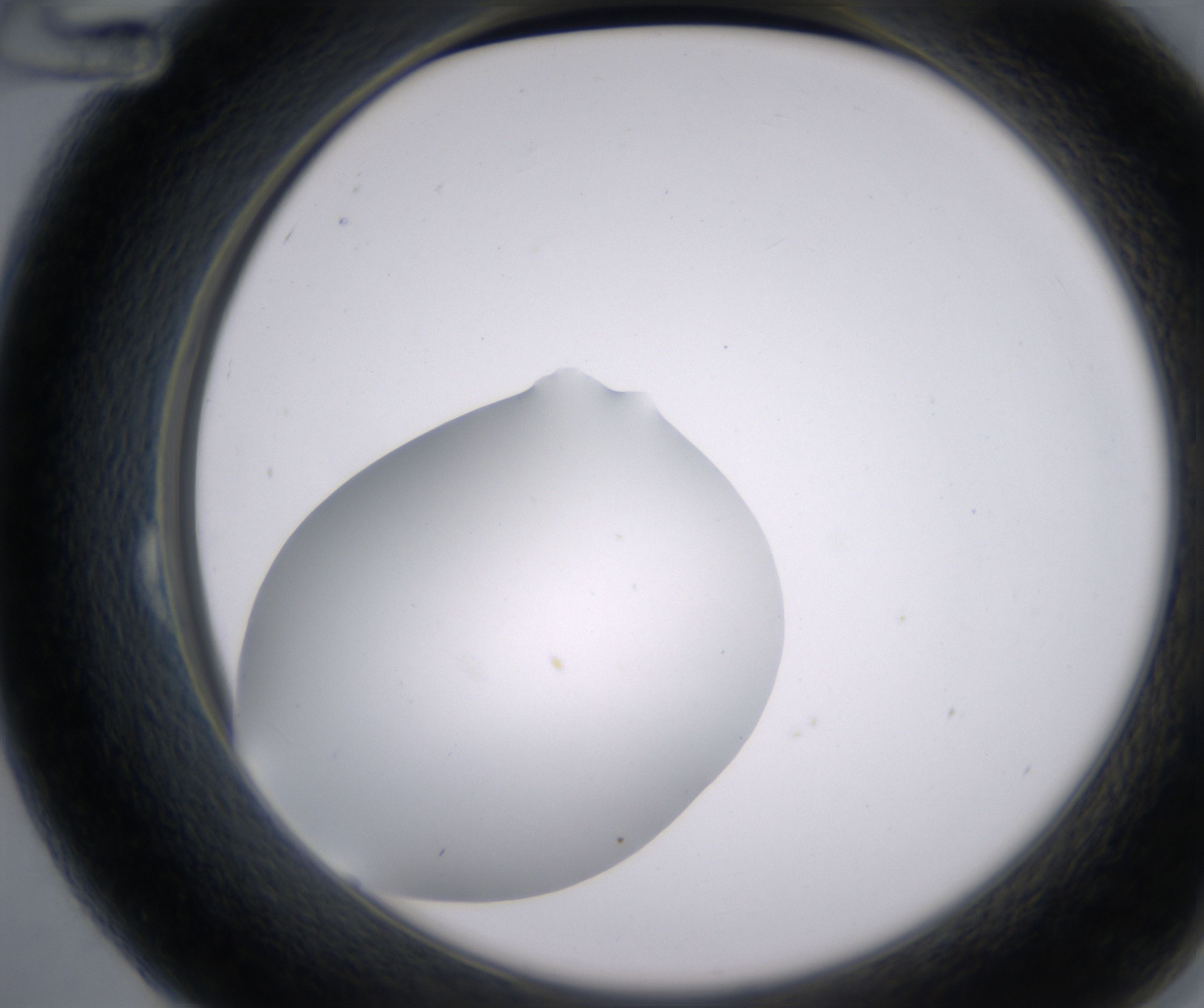 B12_HighResolution_Clear_2.jpg