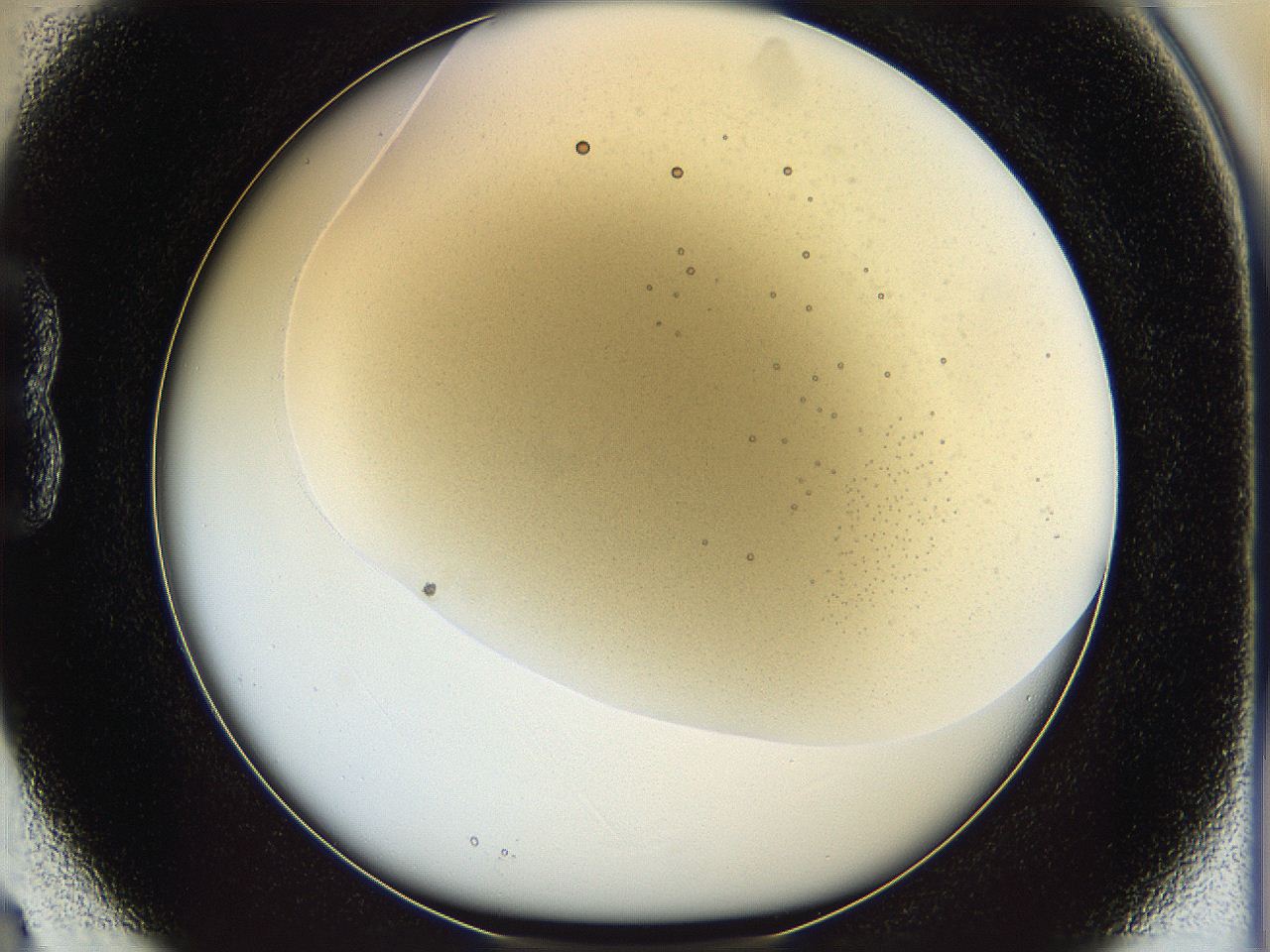 05k0_B3_ImagerDefaults_3.jpg