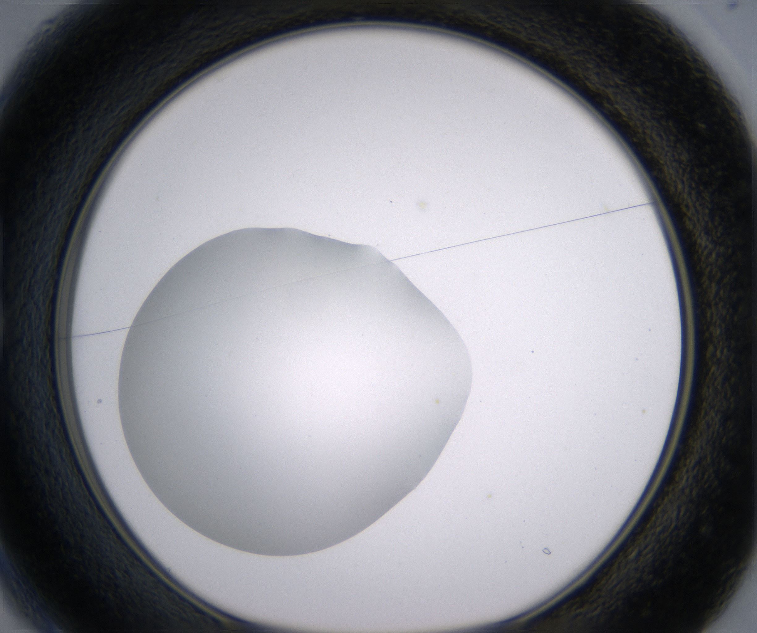 B1_HighResolution_Clear_1.jpg