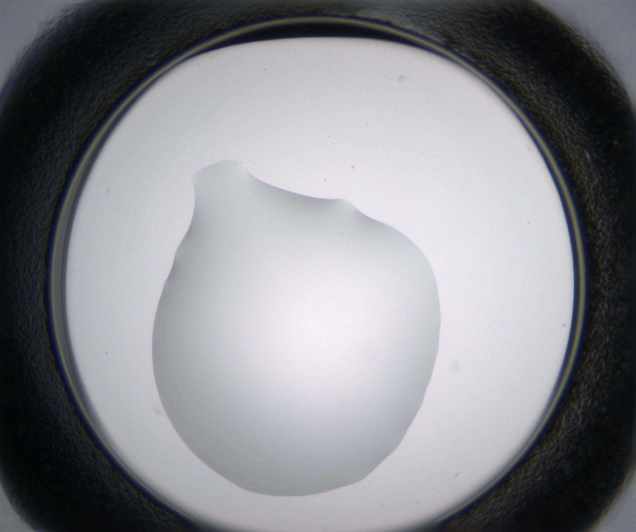 B1_HighResolution_Clear_2.jpg