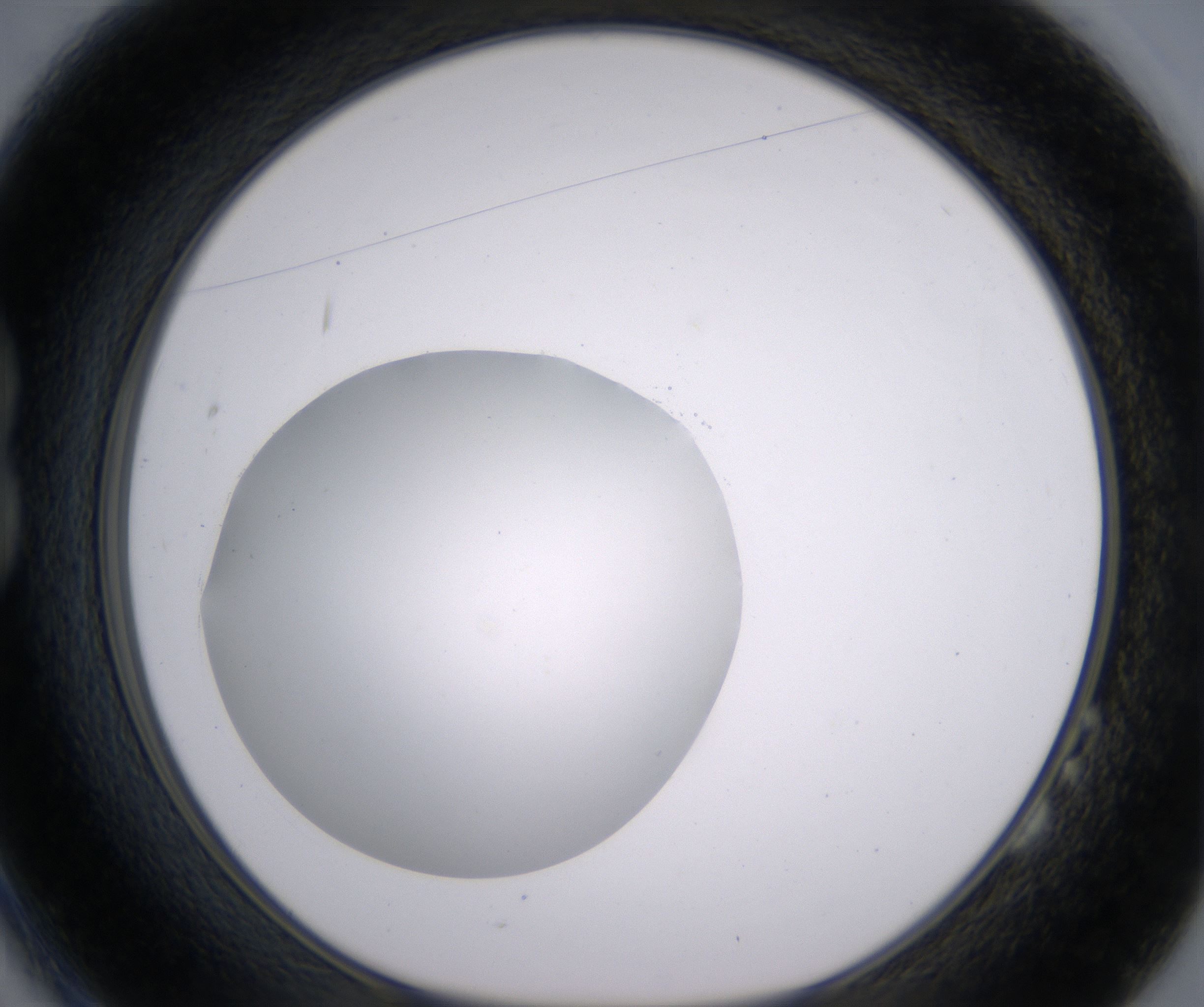 B2_HighResolution_Clear_1.jpg