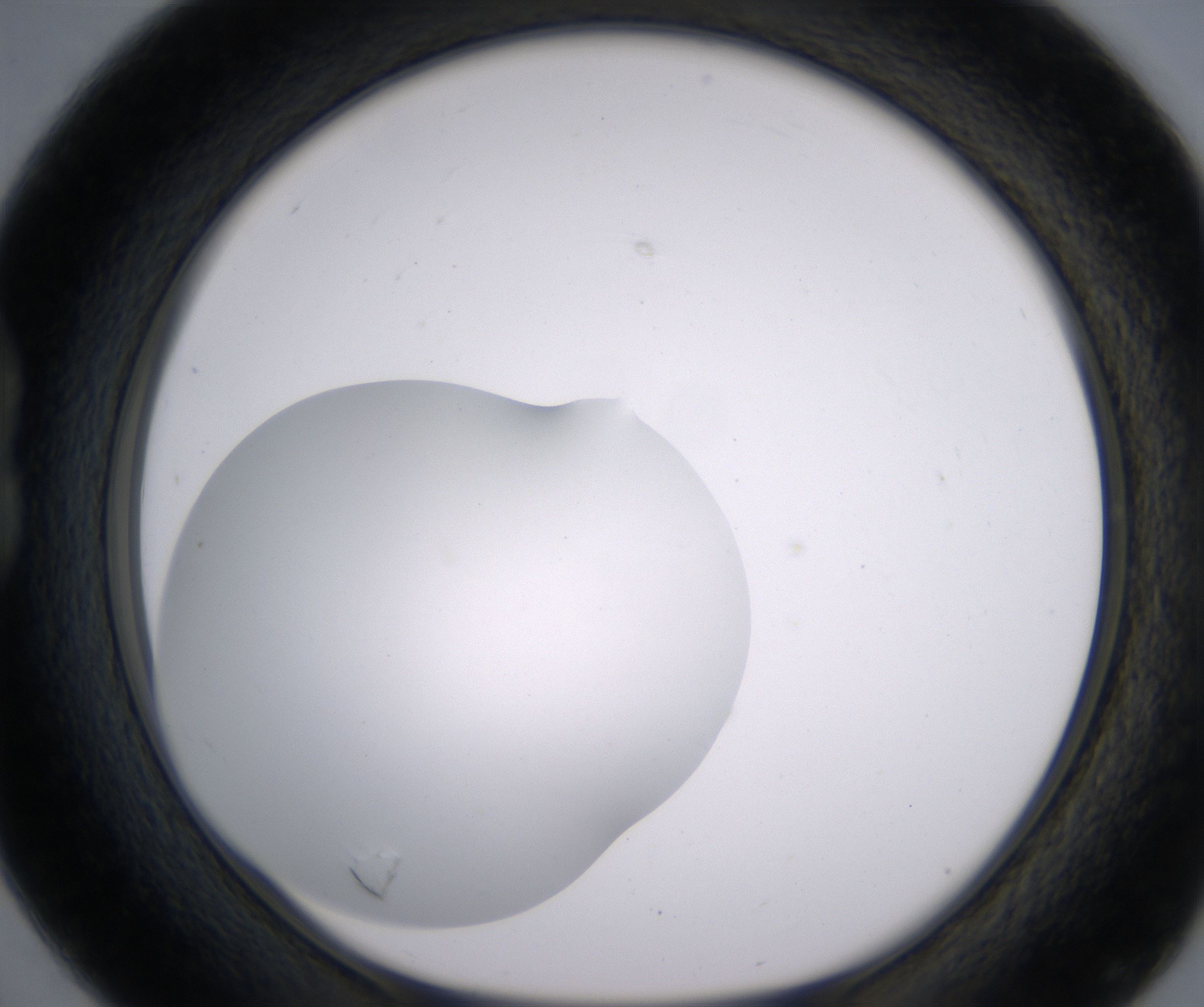 B4_HighResolution_Clear_1.jpg