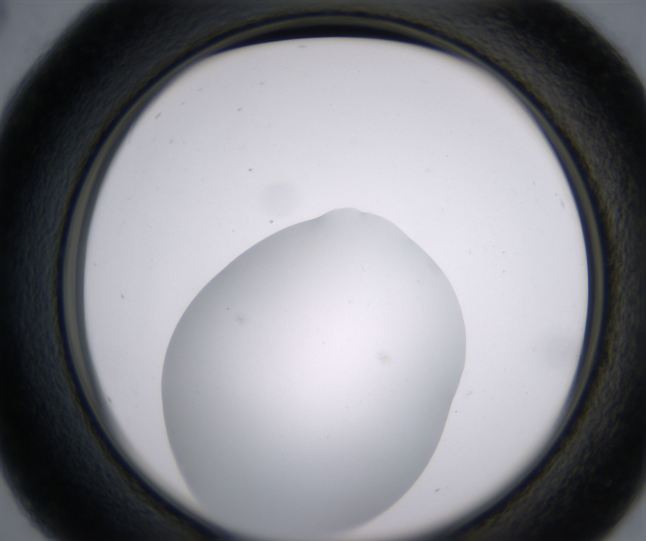 B4_HighResolution_Clear_2.jpg
