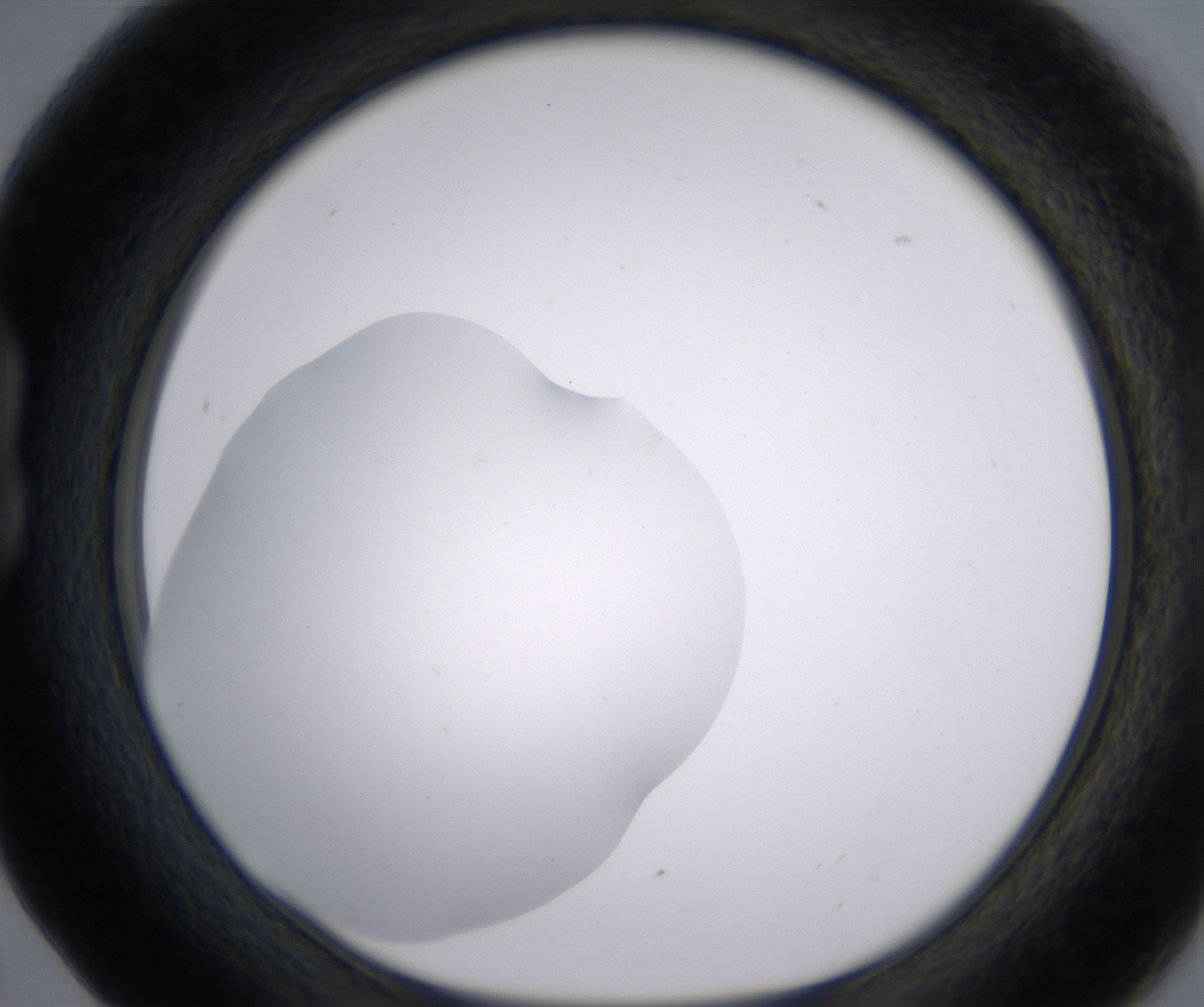 B5_HighResolution_Clear_1.jpg