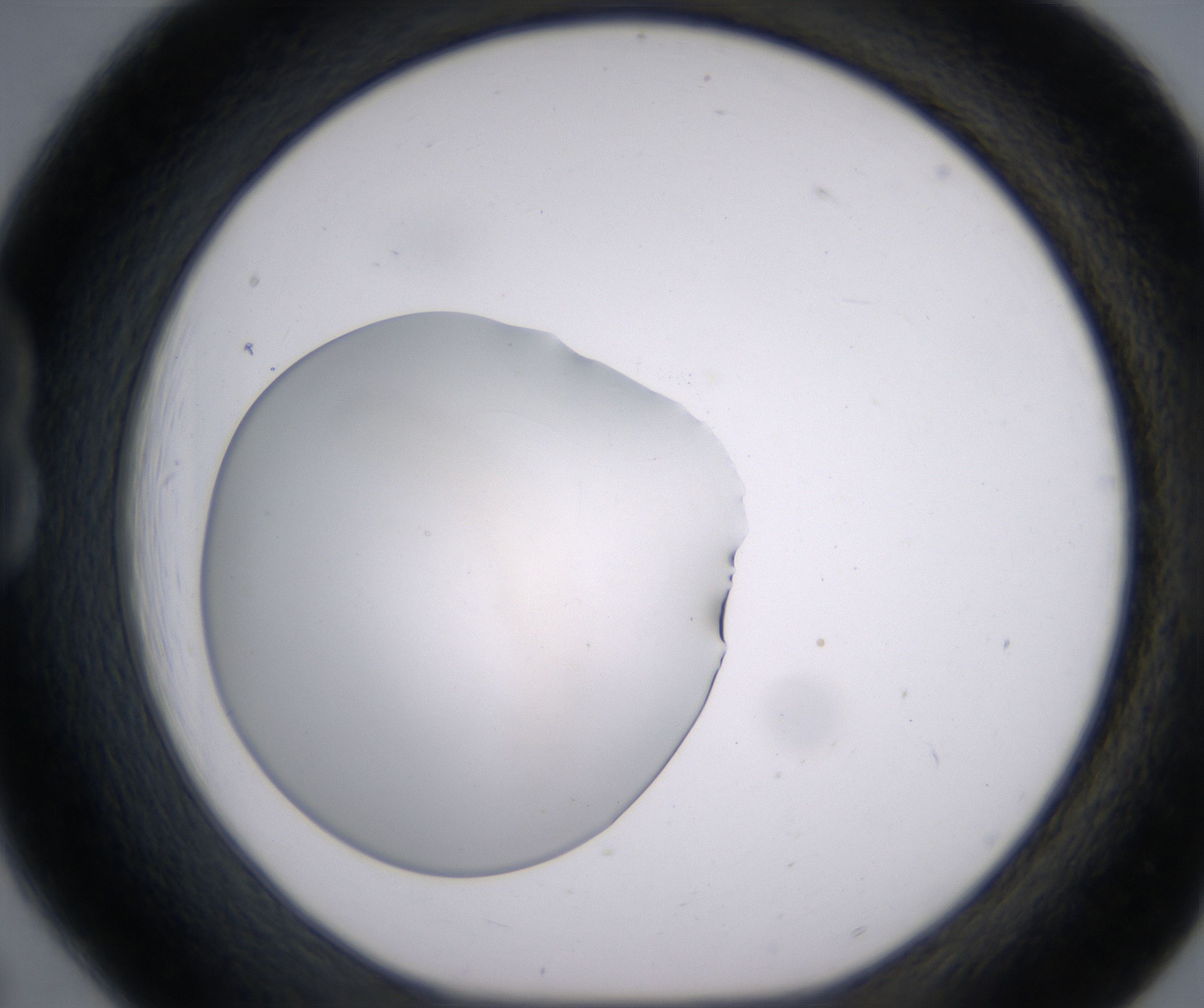 B6_HighResolution_Clear_1.jpg