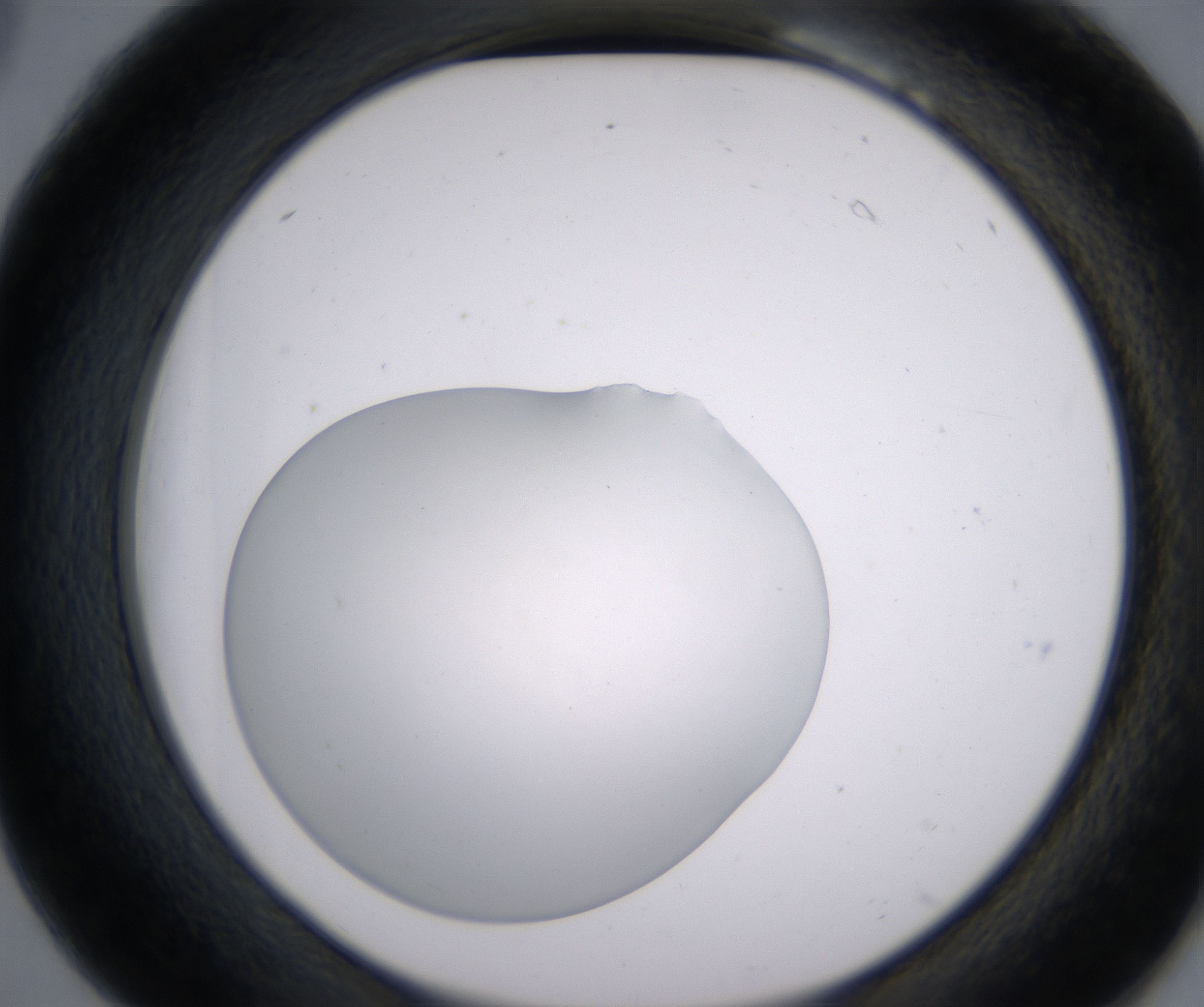 B6_HighResolution_Clear_2.jpg