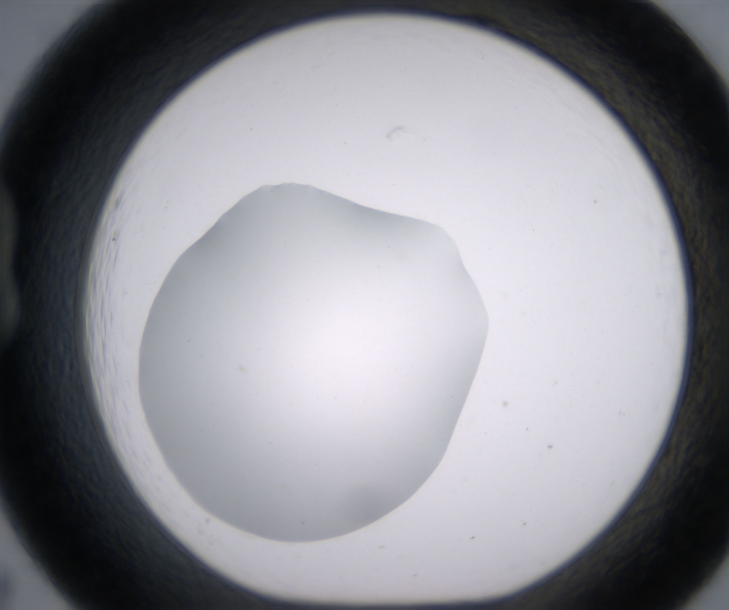 B7_HighResolution_Clear_1.jpg