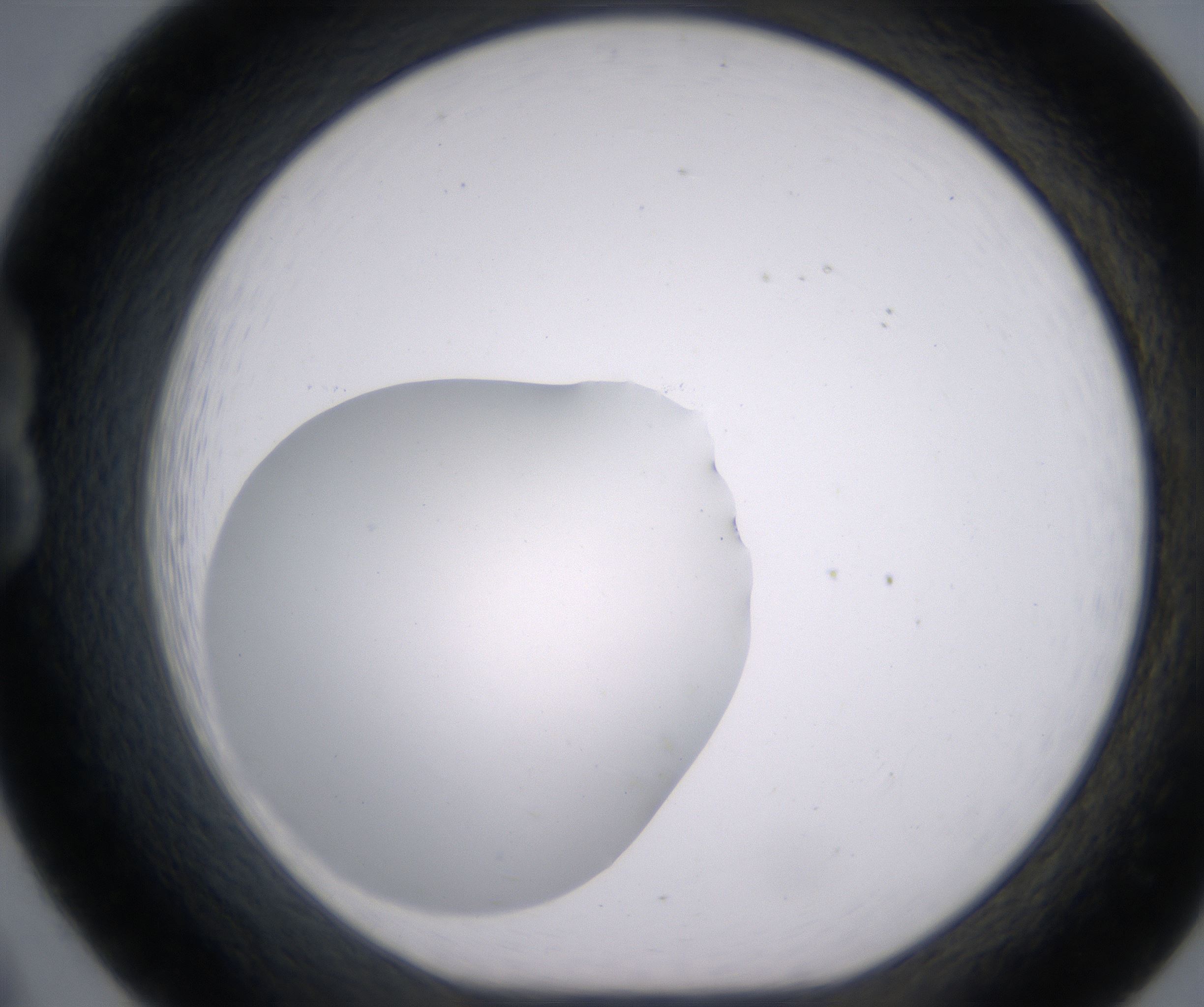 B8_HighResolution_Clear_1.jpg